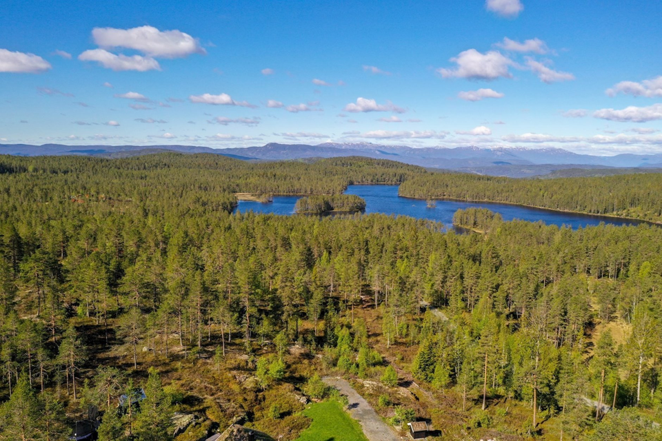 Oversiktsbilde Galleribilde