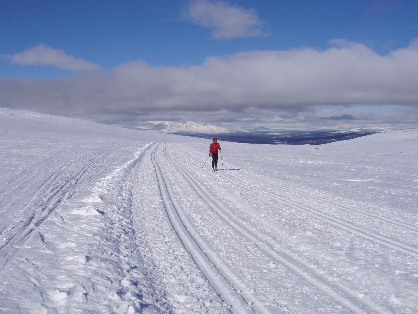 Skispor på fjell og i lettkupert skogsterreng Galleribilde