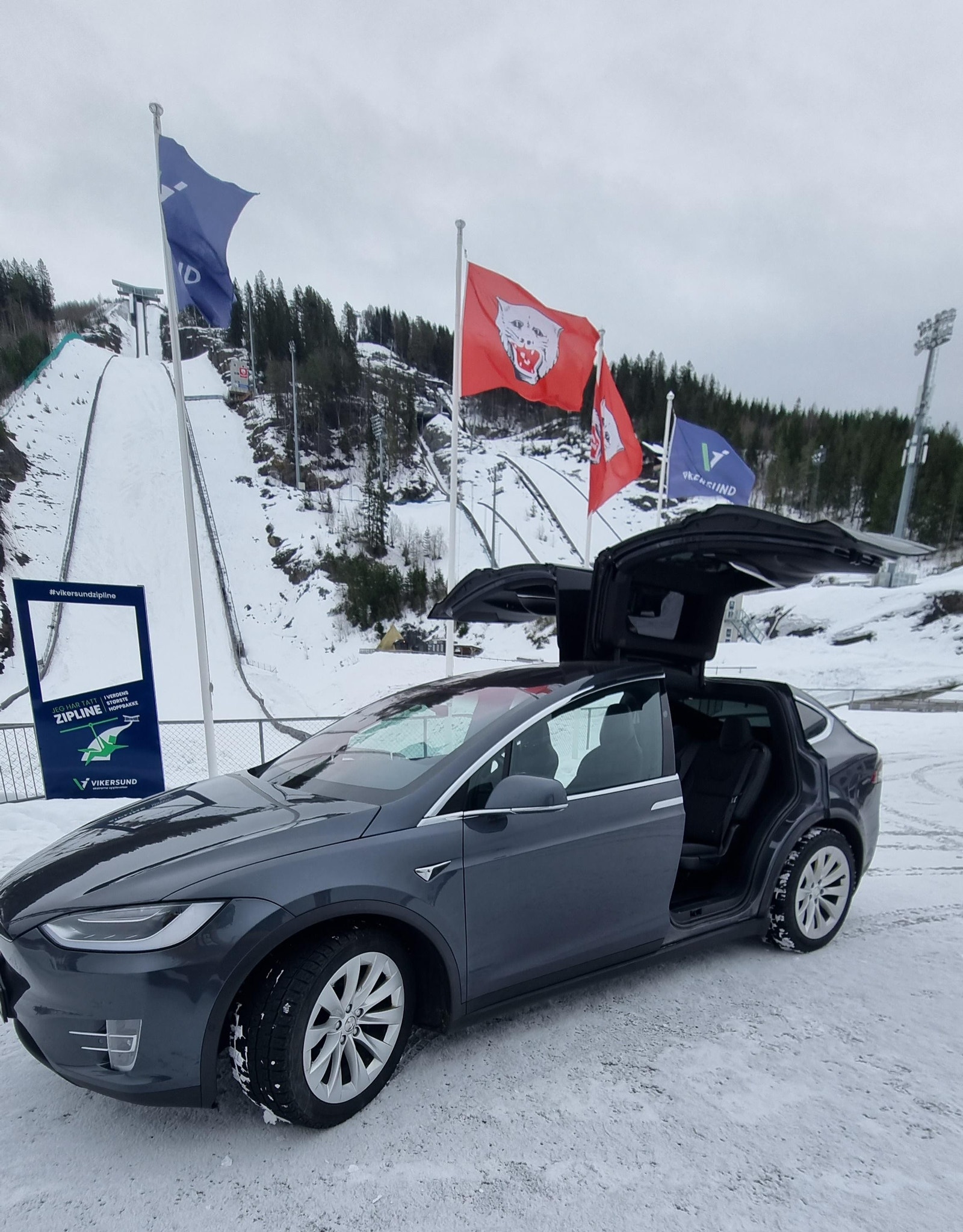 Tesla Model X 2