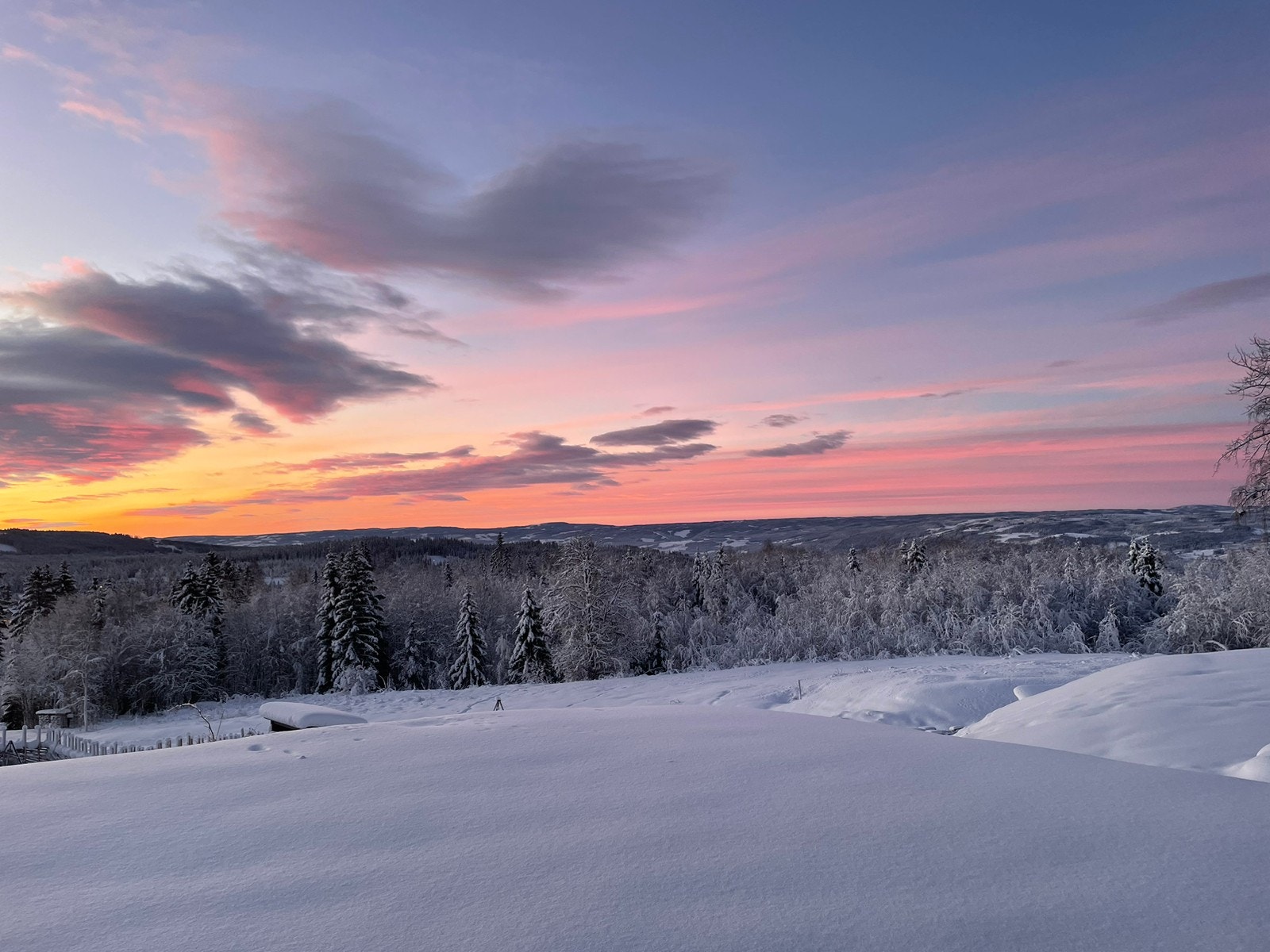 Flott utsikt Galleribilde