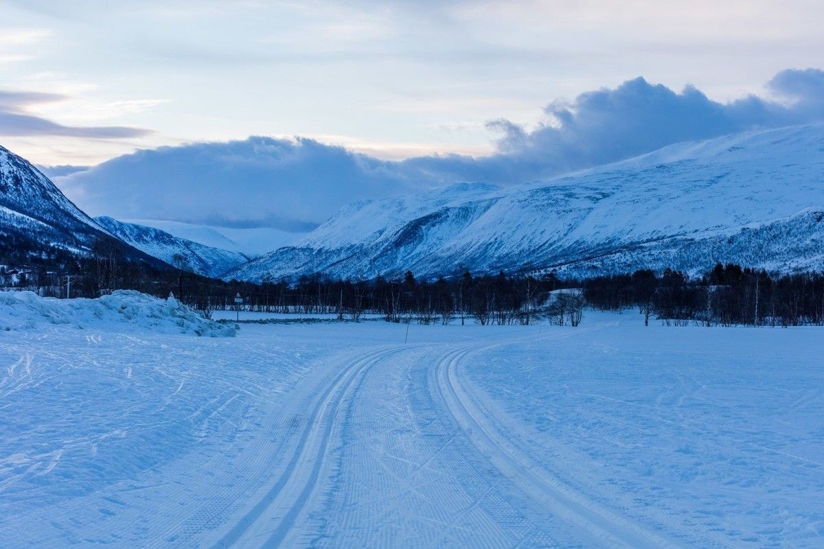 Gode turmuligheter i nærområdet. Galleribilde