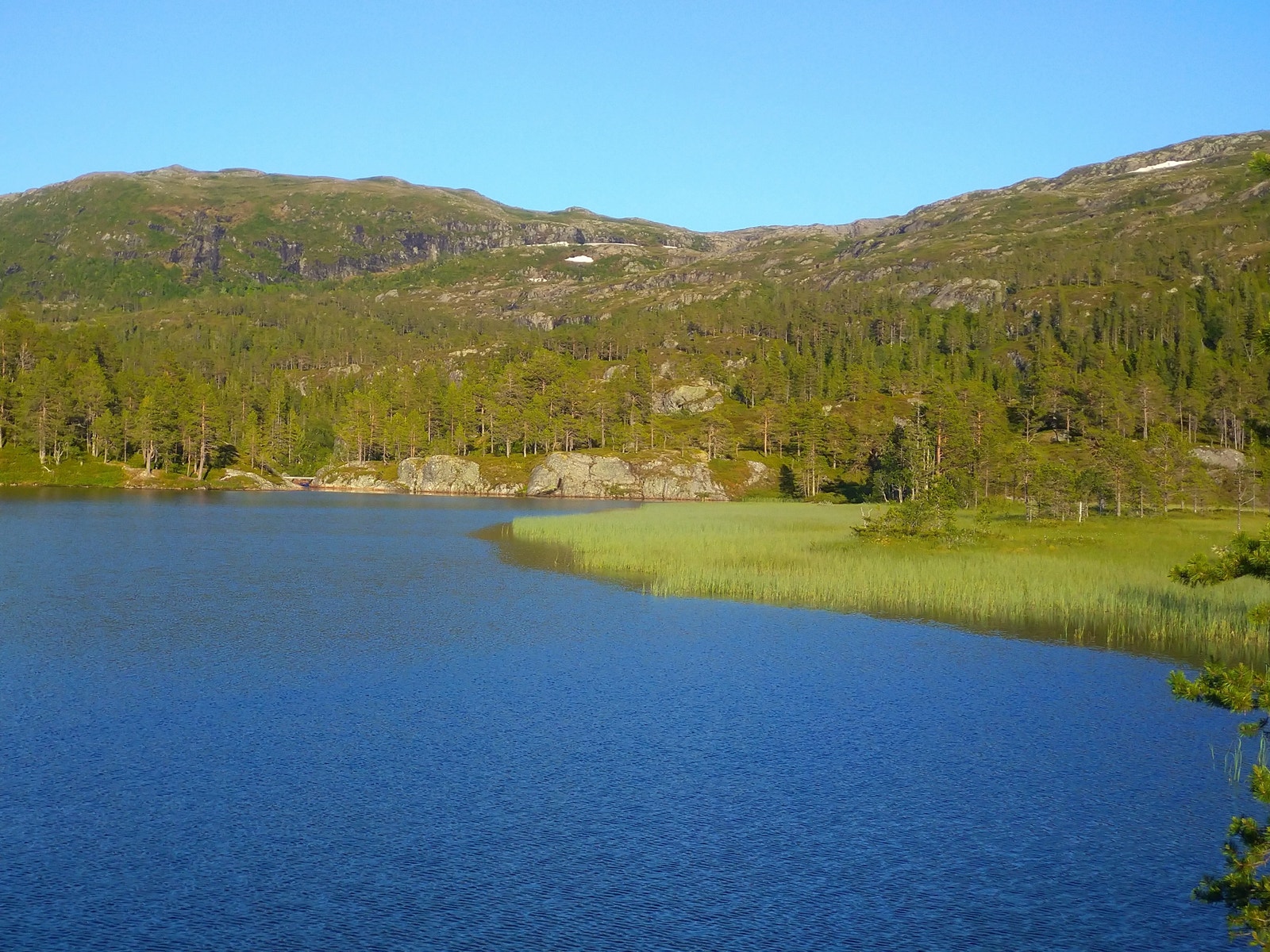 Ørretsjøen mitt i dalen Galleribilde