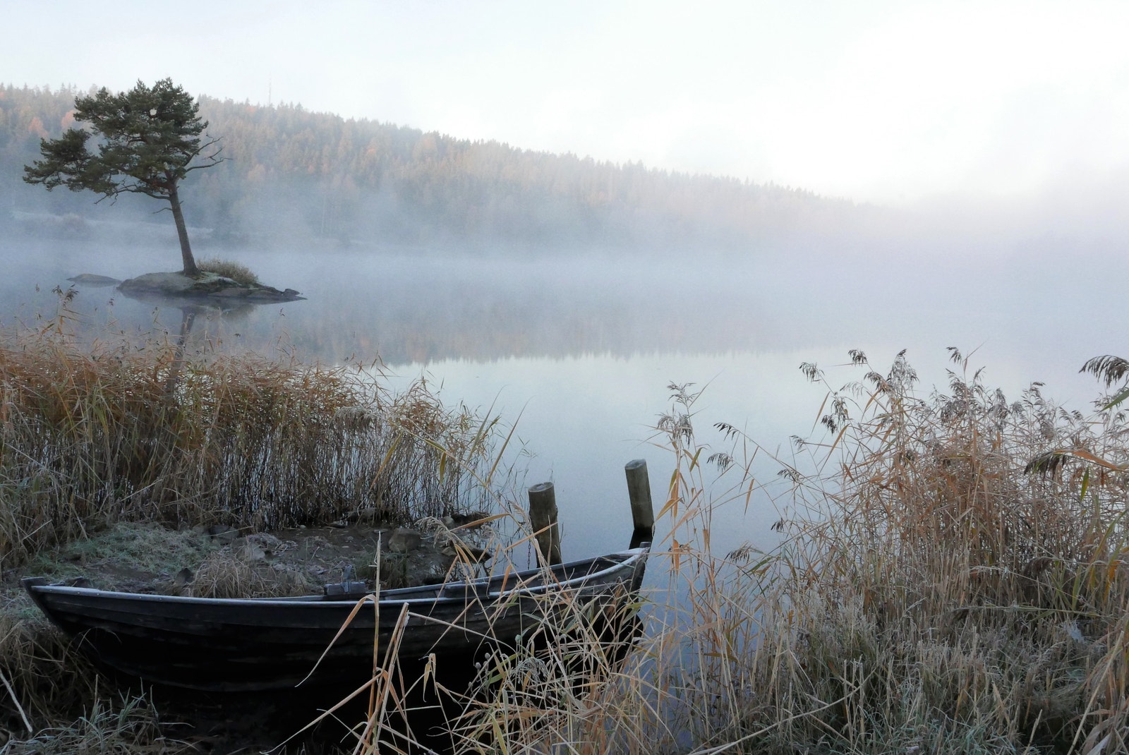 Velkommen til Vågtunet - ta kontakt for visning! Galleribilde