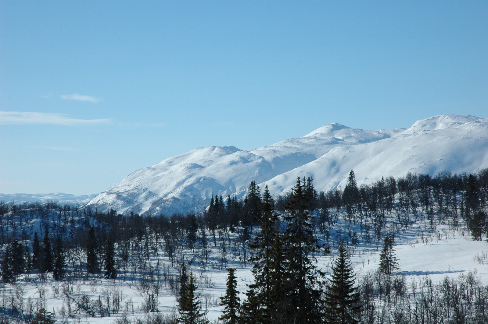 Raulandsfjell. Heimare Skarsnut og Austre Skarsnut. Galleribilde