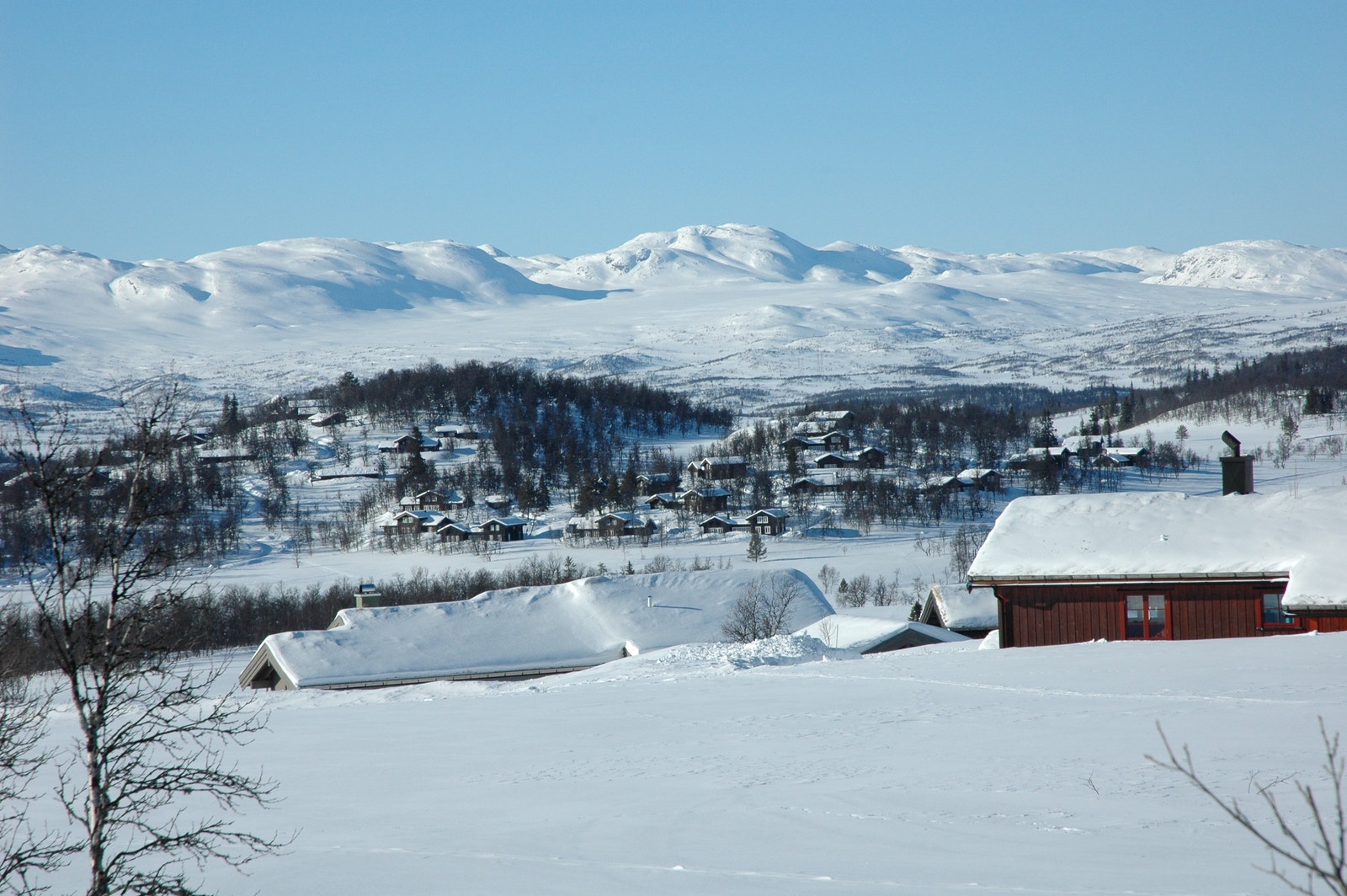 Bjønnskarhaugen Hyttefelt. Galleribilde
