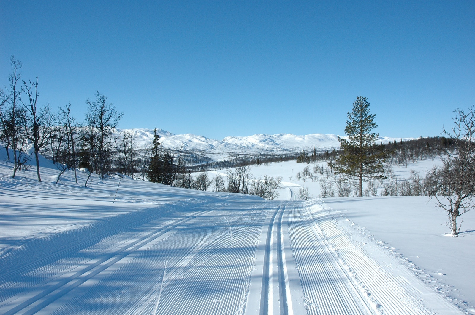 Strøkne skiløyper mot Bytnejuv, Rauland sentrum mm. og Sveigebru. Galleribilde