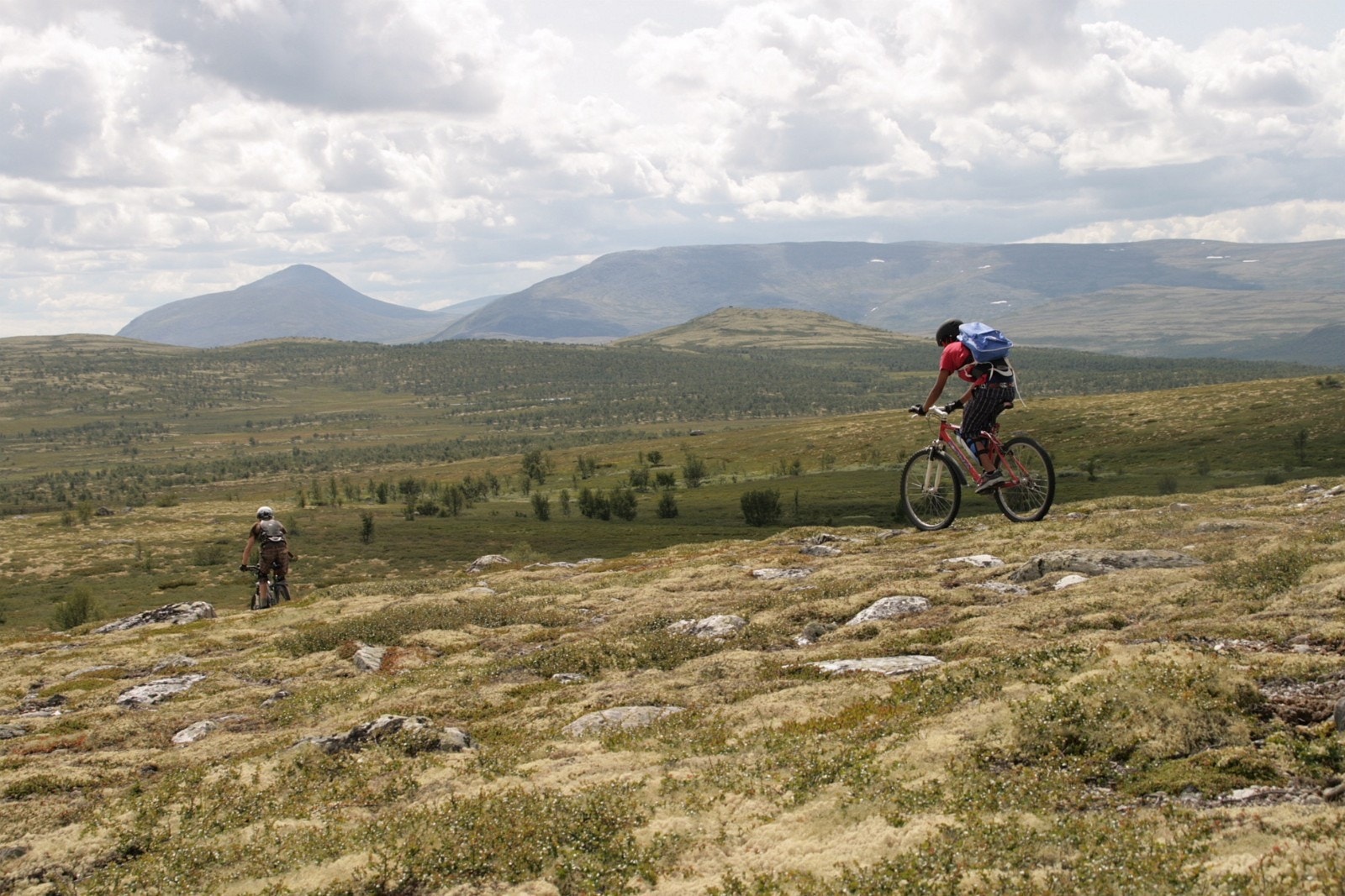 Sykkelturer på fjell og i skog Galleribilde