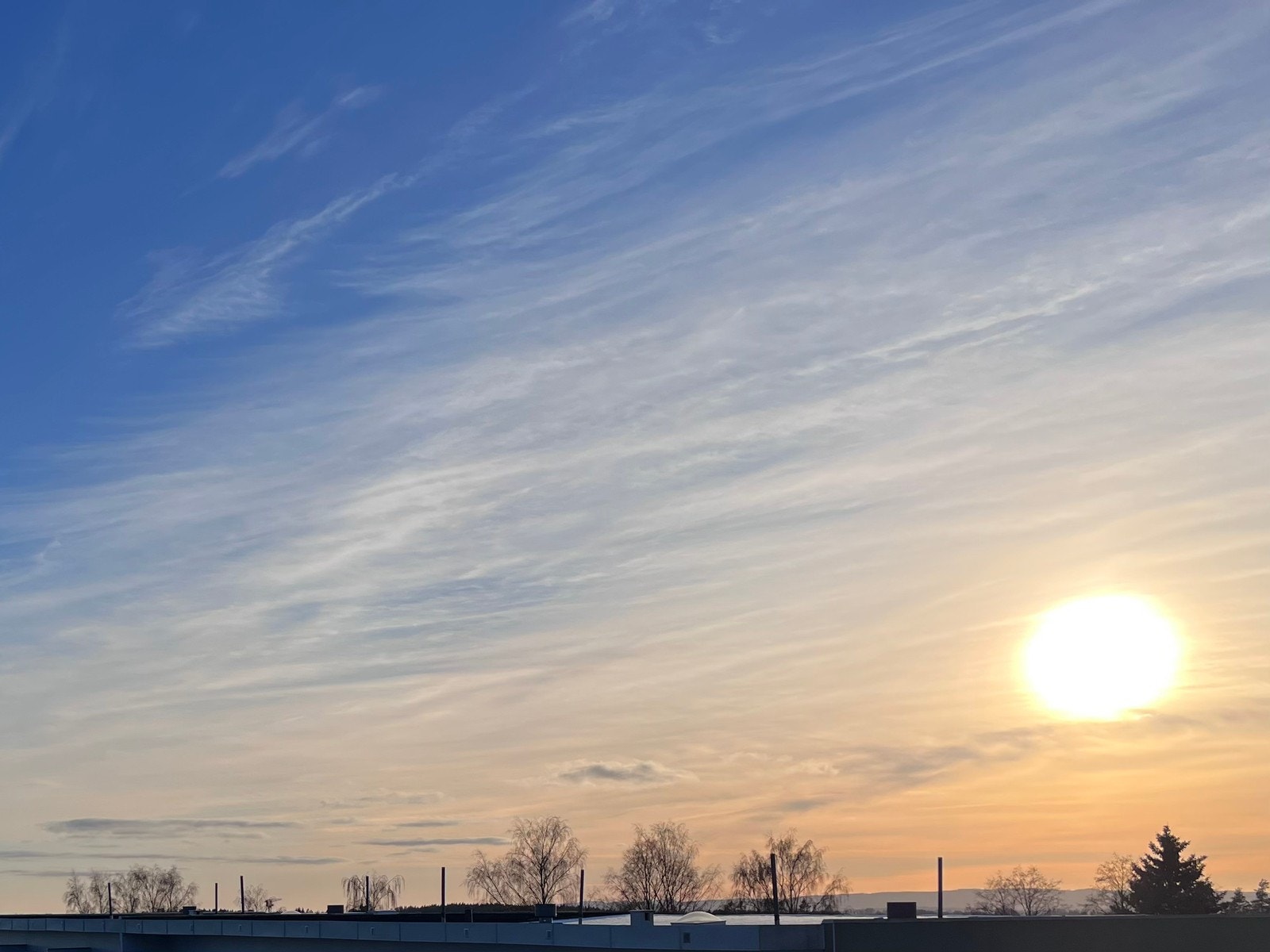 Meget solrikt Galleribilde