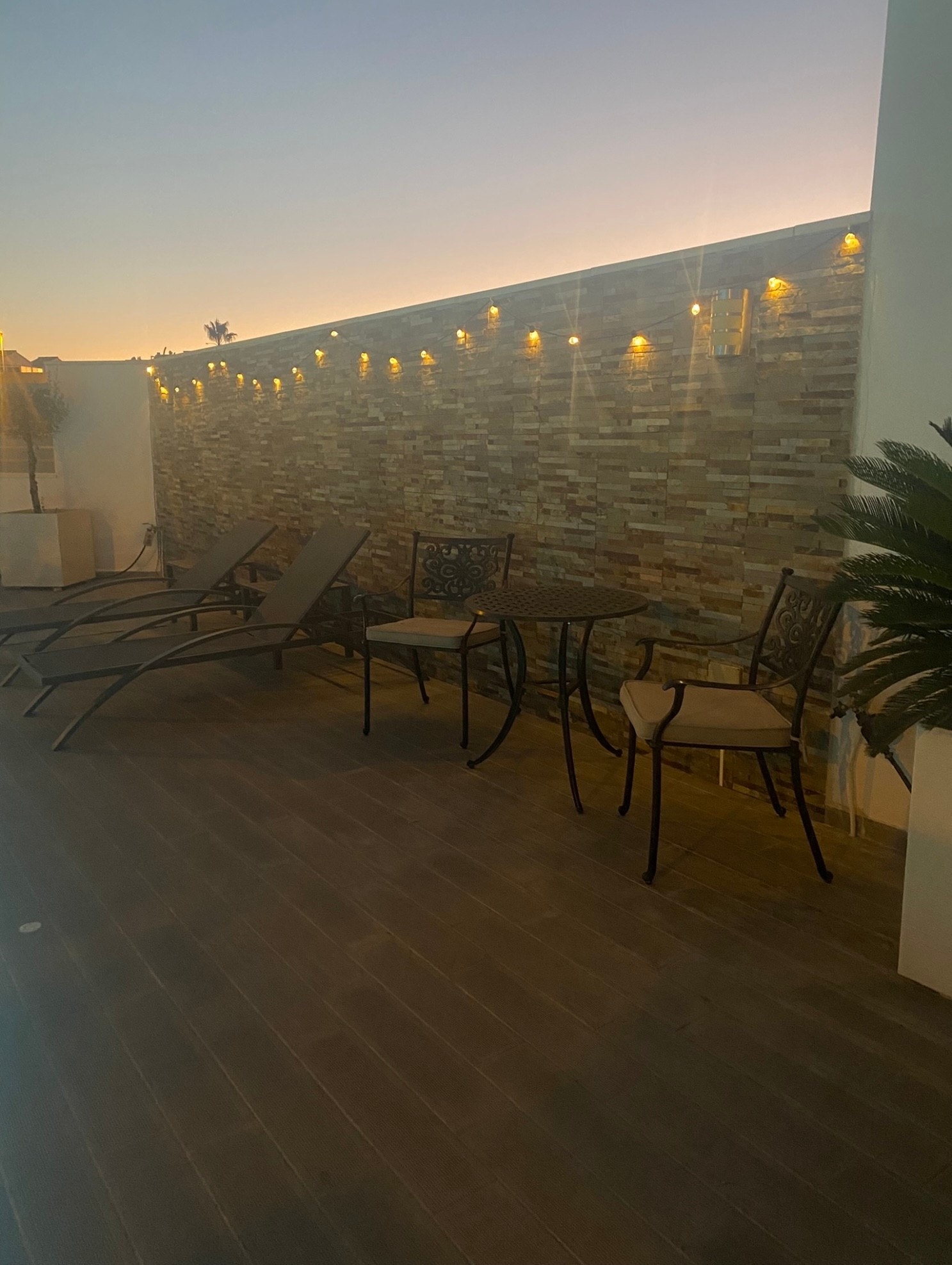 Solsenger i solnedgang Galleribilde