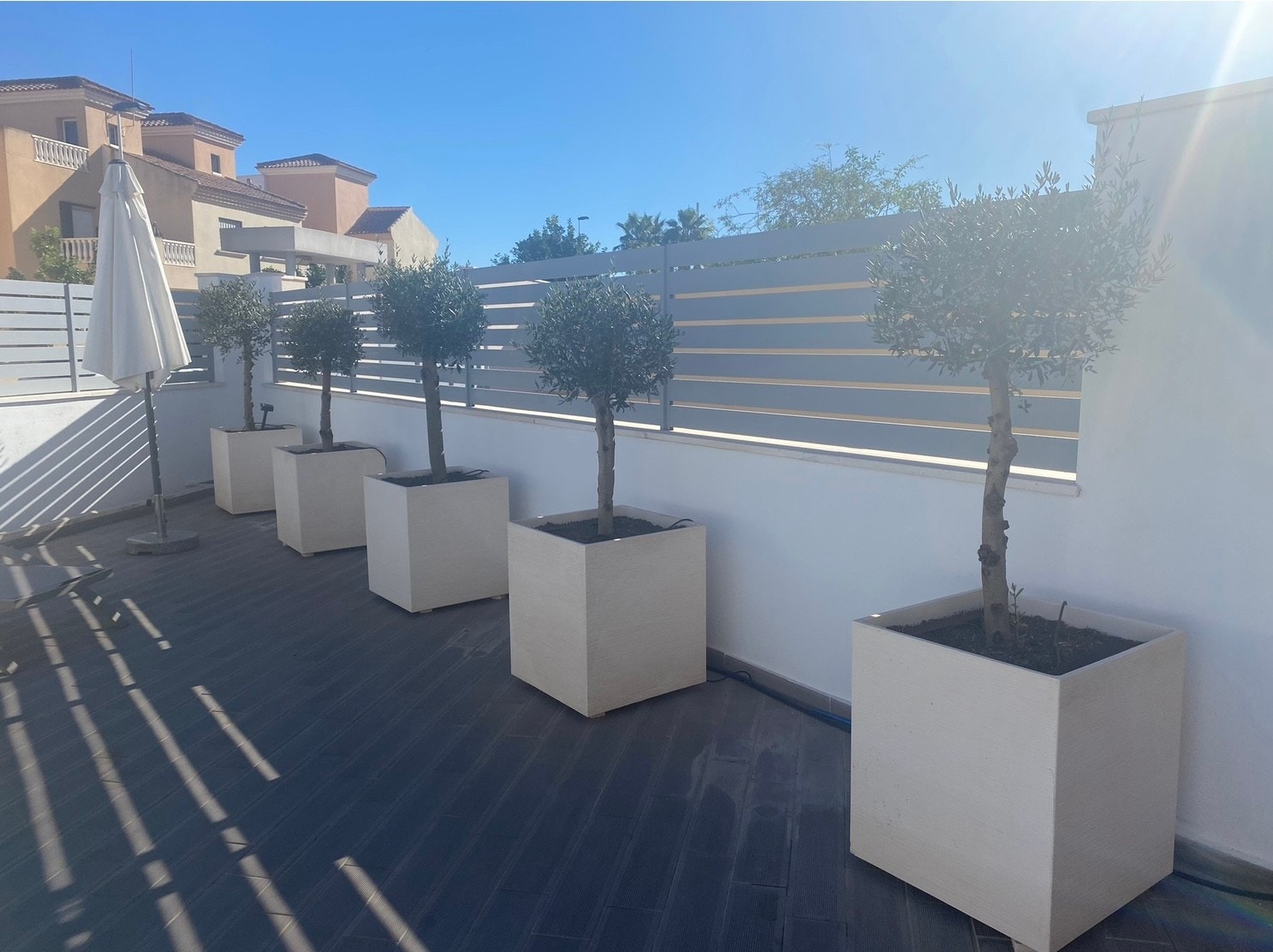 Beplantning ved privat basseng Galleribilde