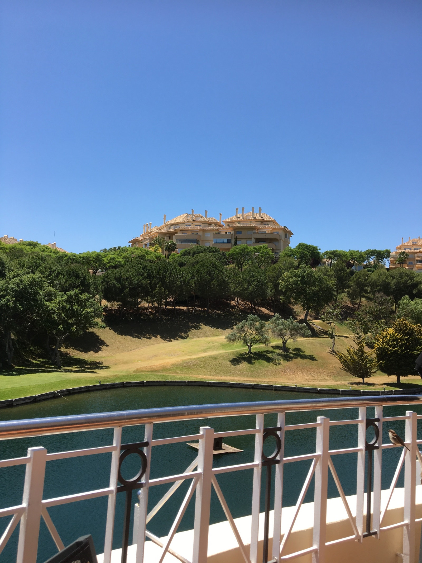 El Lago Galleribilde
