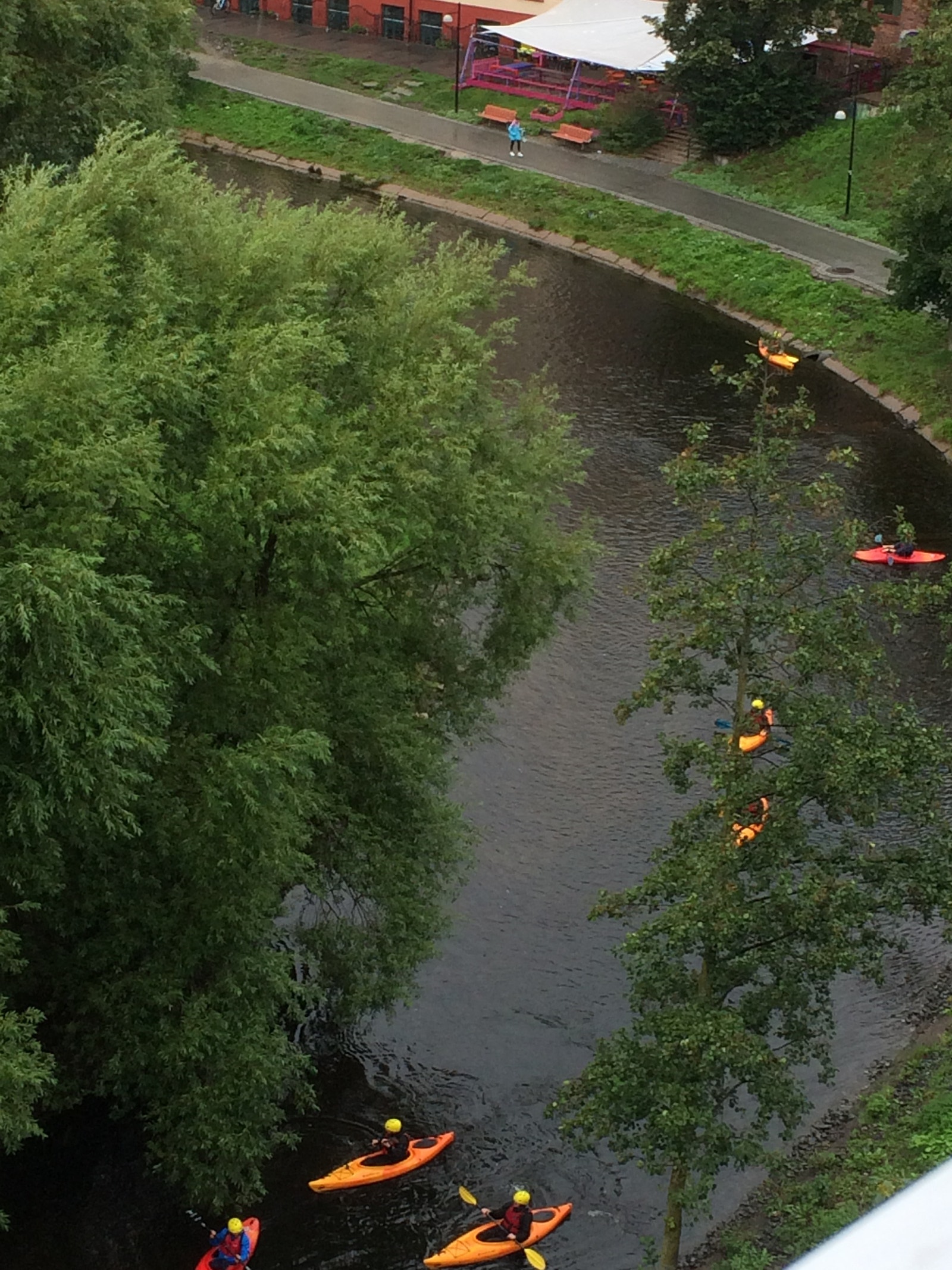 Yrende liv i Akerselva Galleribilde