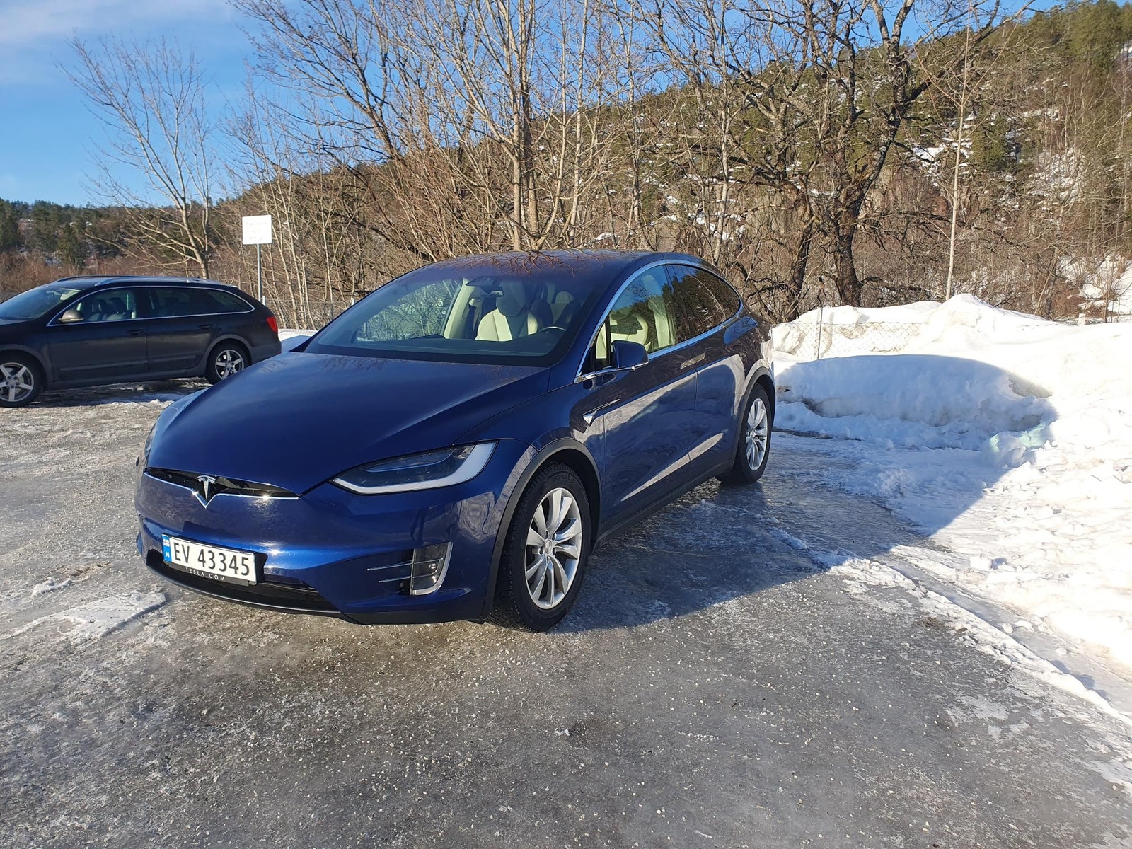 Tesla Model X 19