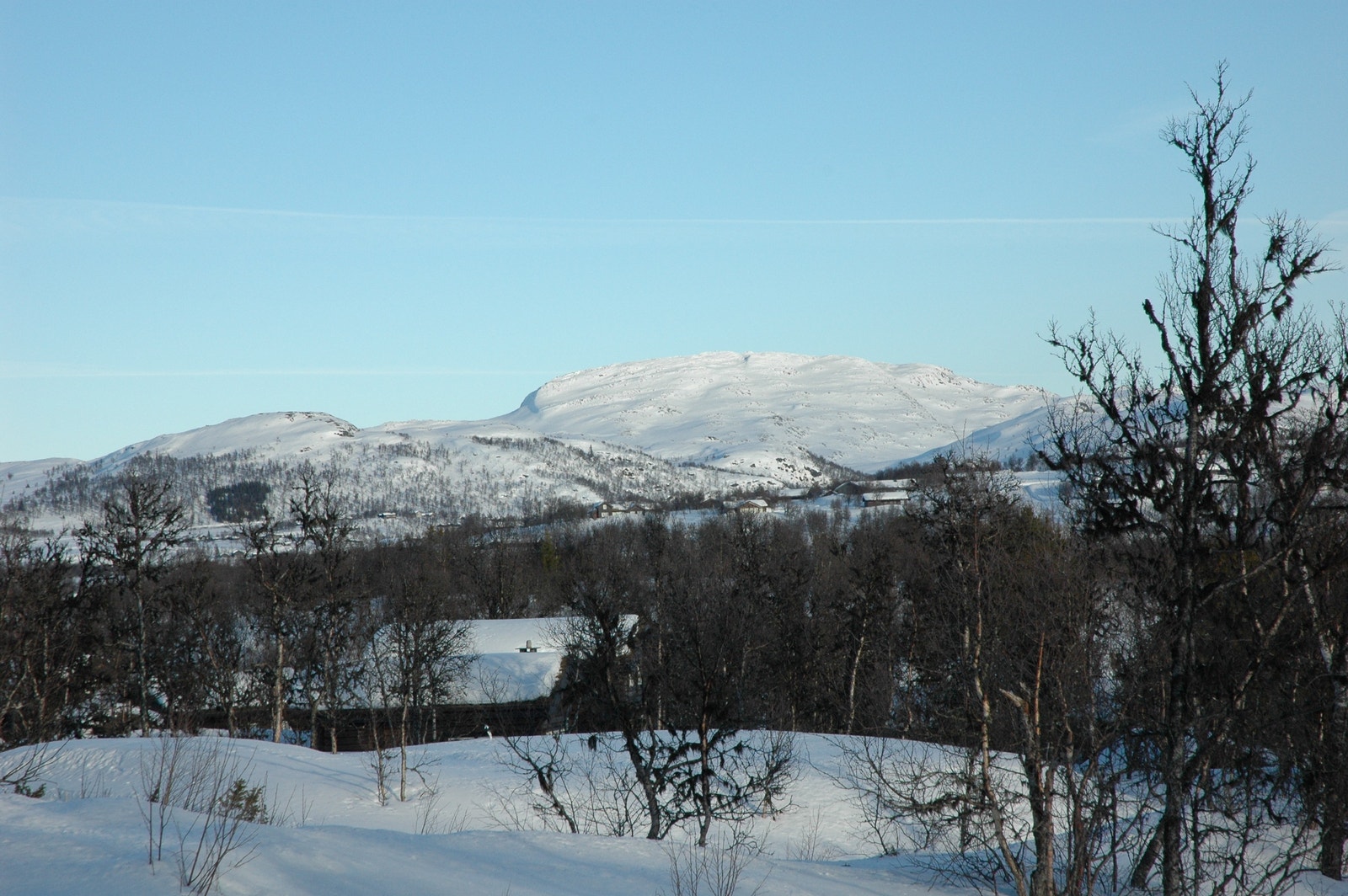 Utsikt fra hyttefeltet mot Bossnuten som er et populært turmål. Galleribilde