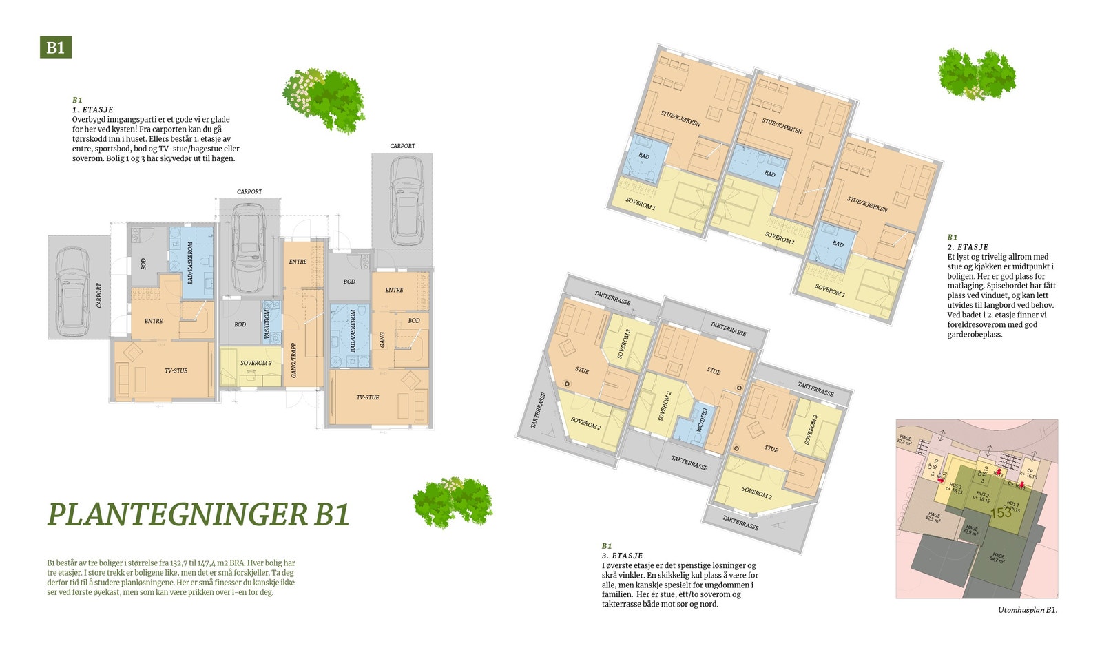 Plantegninger B1 Galleribilde