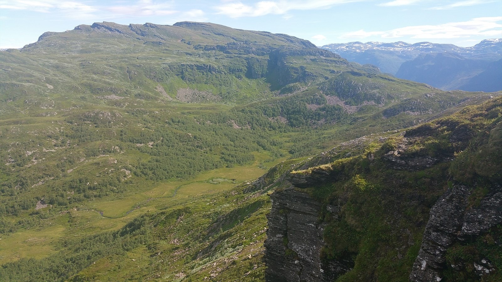 Nærområde Galleribilde