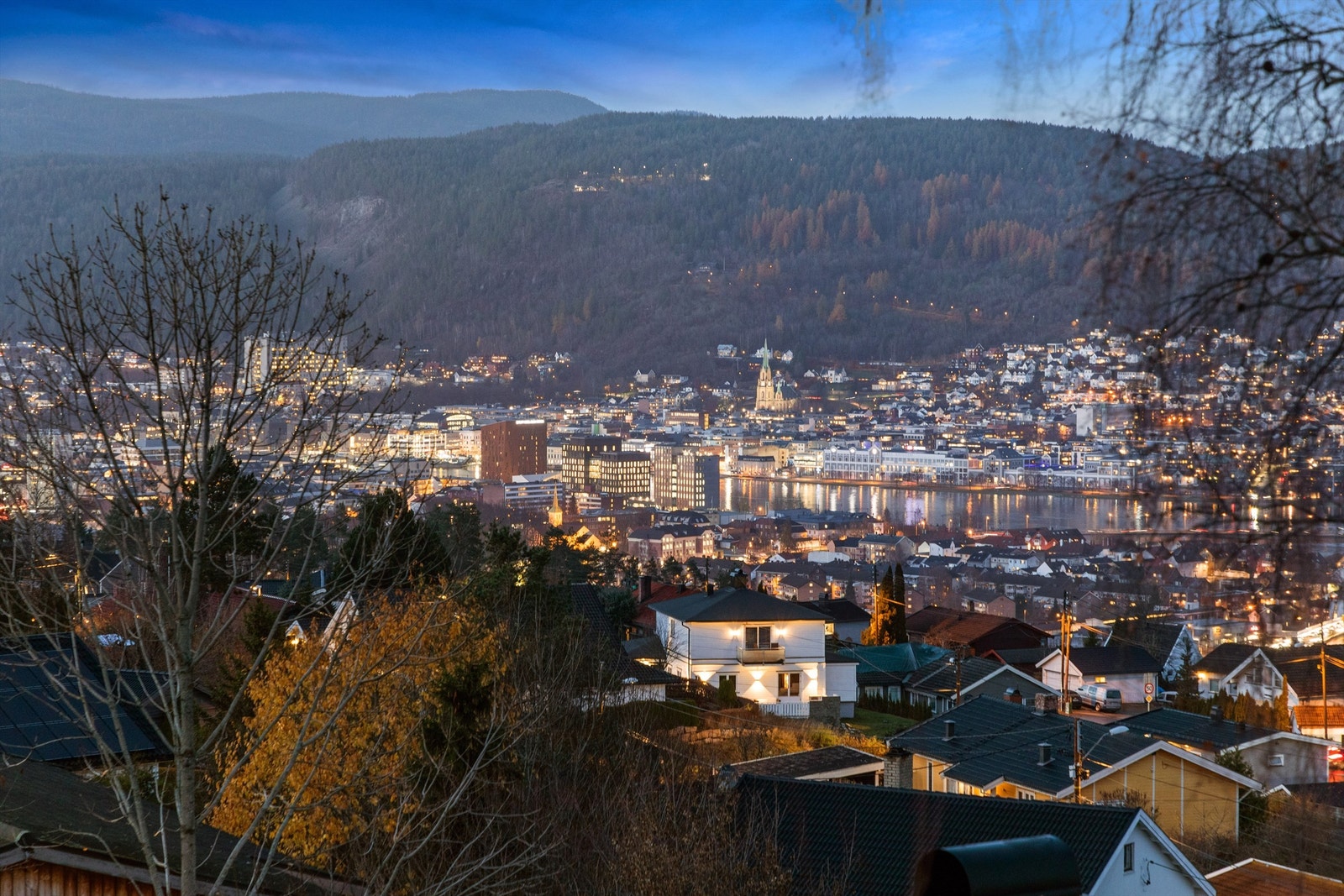 Utsikt - Nærområdet Galleribilde