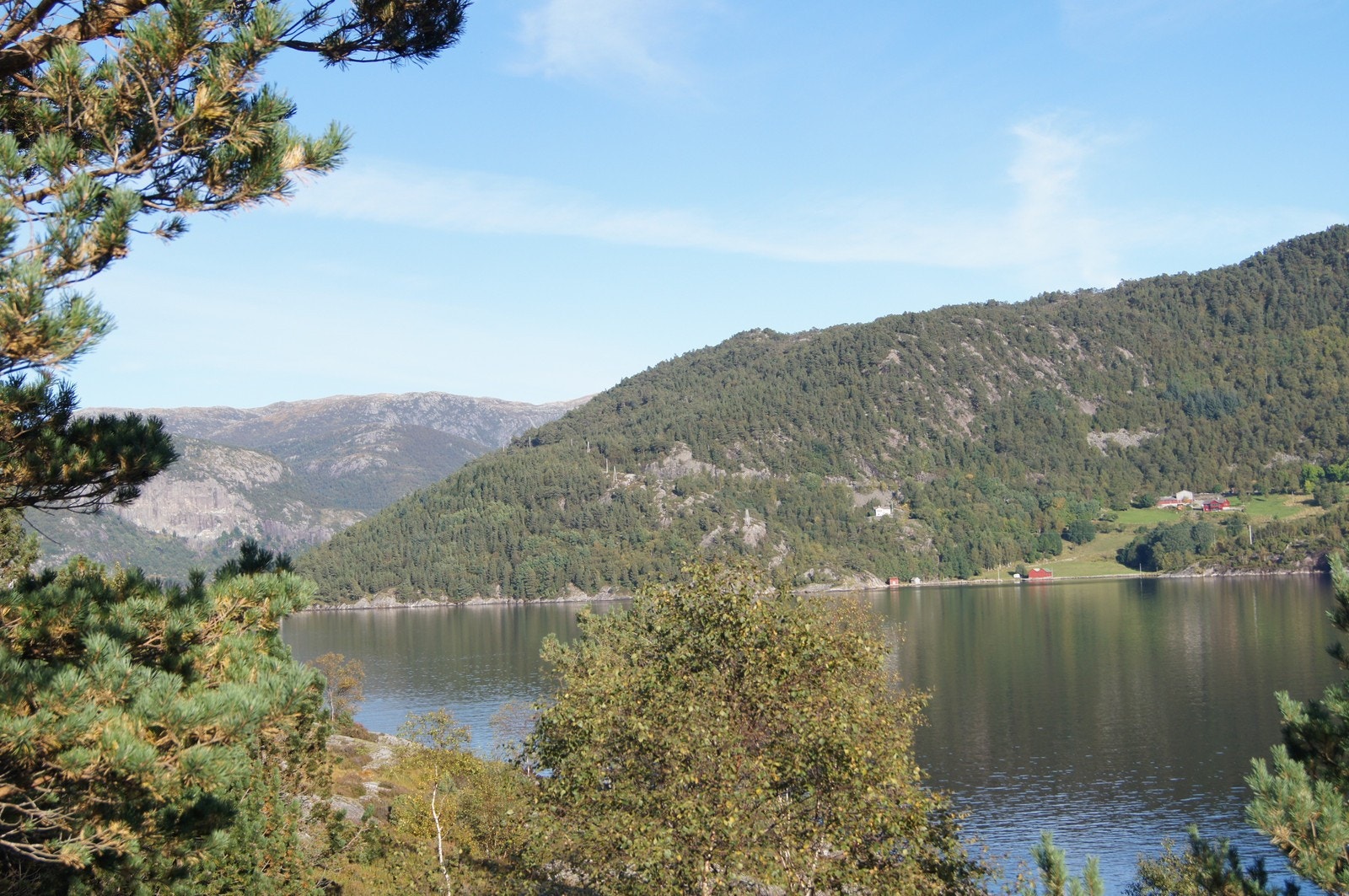 Utsiktsbilde fra nærområdet Galleribilde