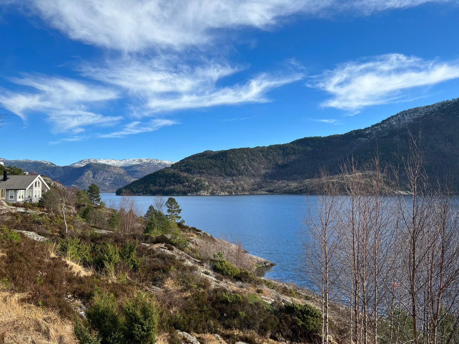 Utsiktsbilde fra nærområdet Galleribilde