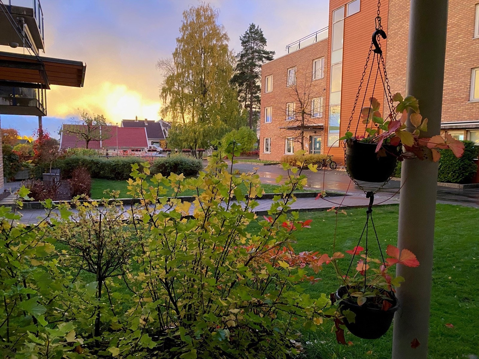 Sommer på markterrassen (selgers bilde) Galleribilde