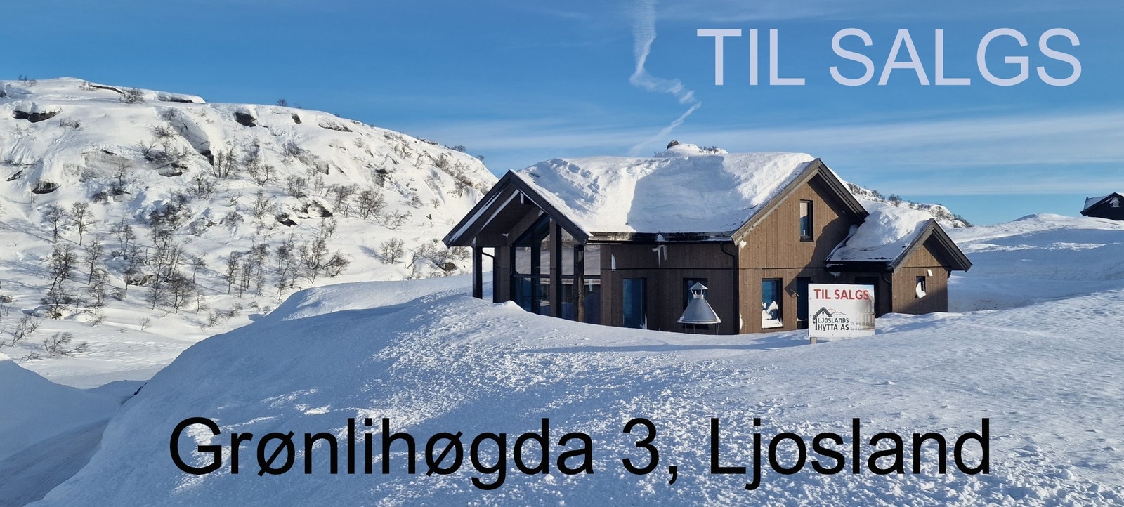 Vinterhabitt, 2. februar Galleribilde