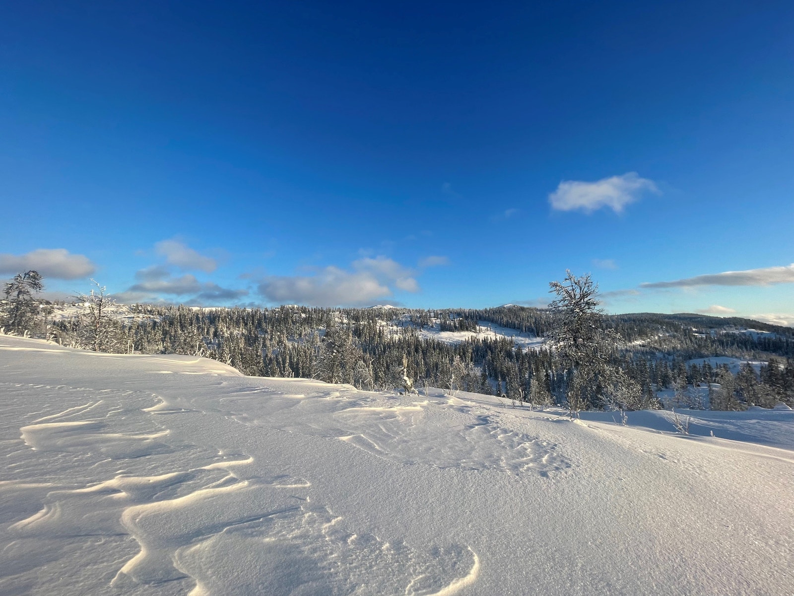 Utsikten fra tomteområdet er vidtrakt og flott Galleribilde