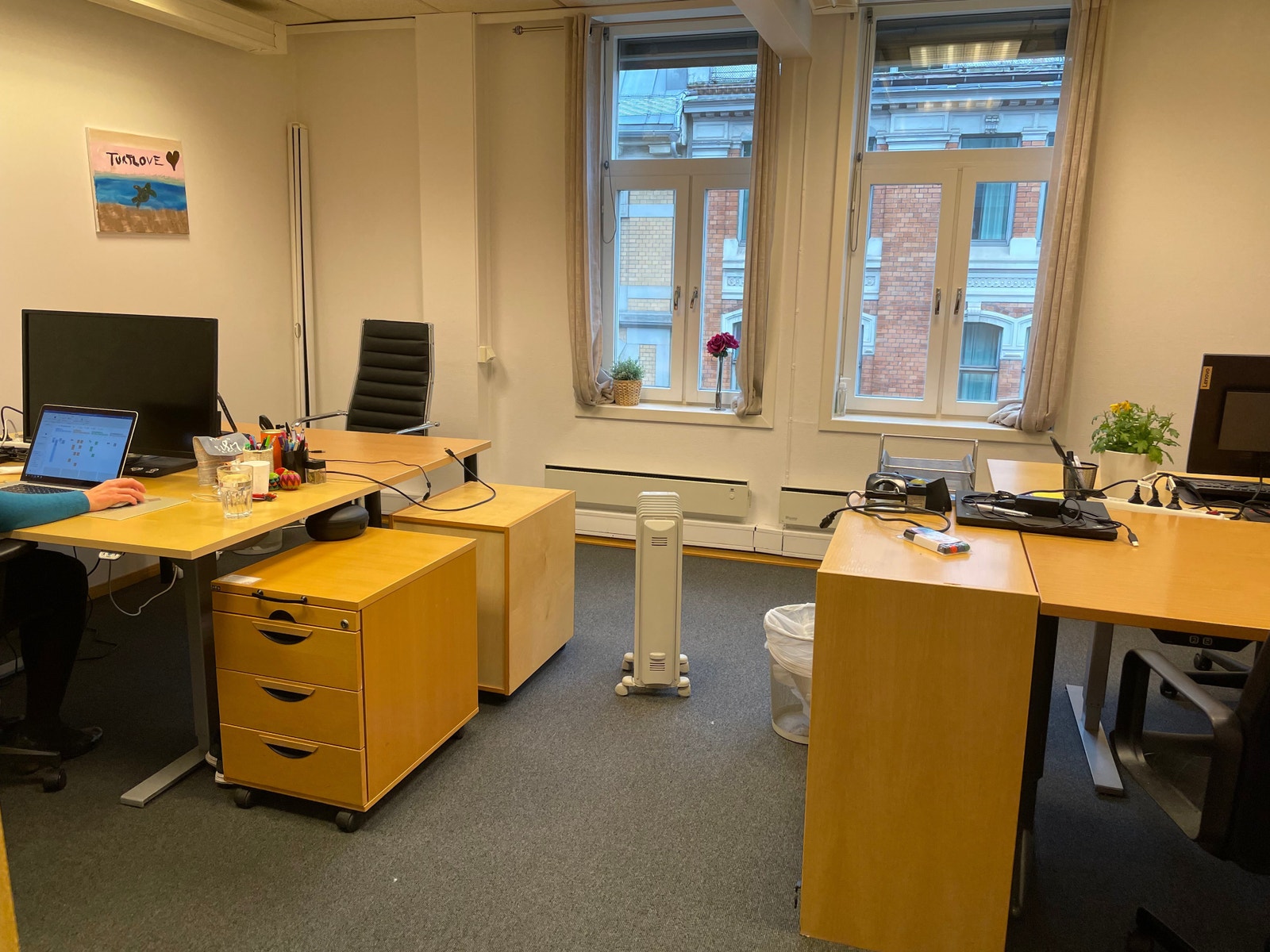 Store vinduer som gir godt med naturlig lys Galleribilde