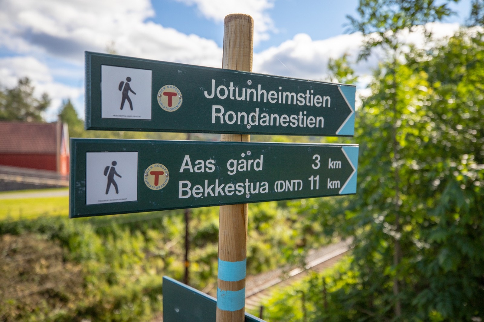 Kort vei til marka. Galleribilde