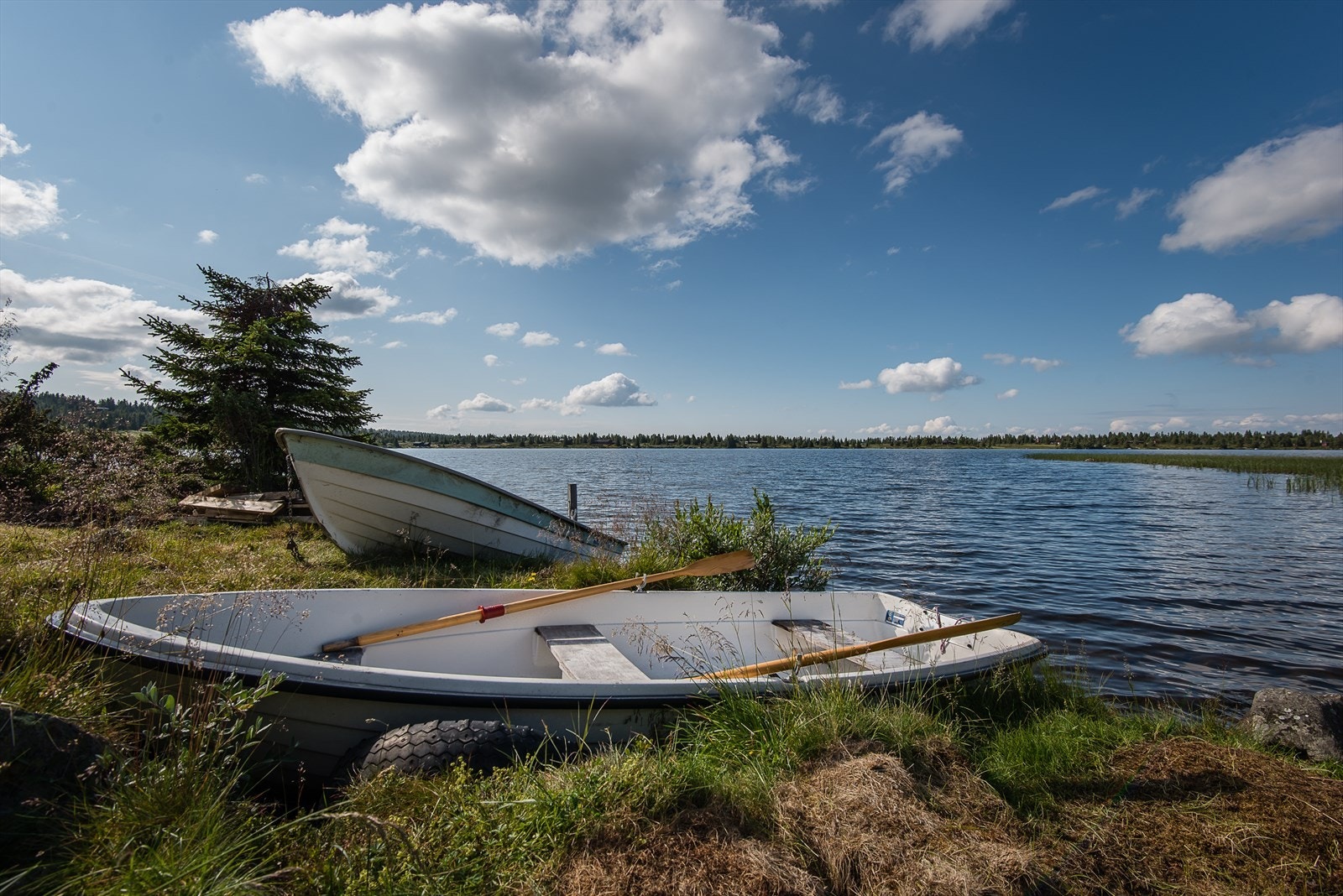 Områdebilde fra Kroksjøen. Galleribilde