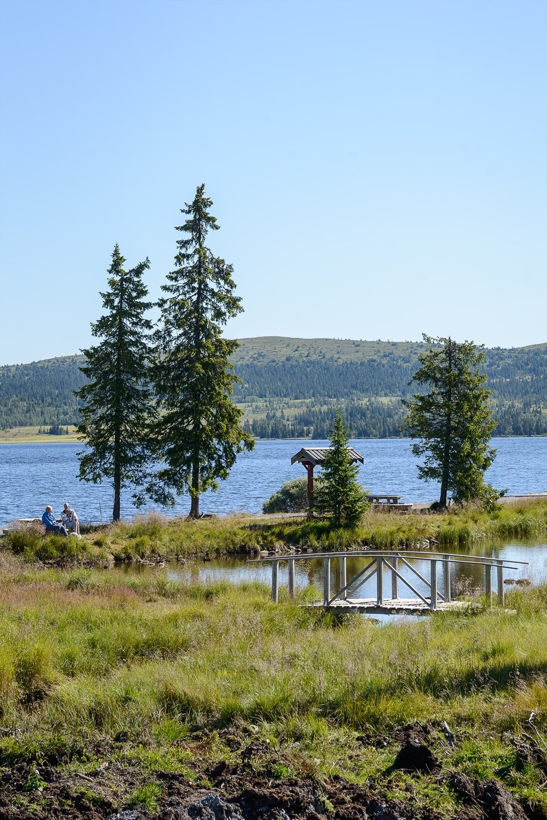Sjusjøen har mange idylliske småvann tilgjengelig for den som vil prøve fiskelykken eller ta en forfriskende dukkert. En tur med robåten eller kanoen er heller ikke å forakte. Galleribilde