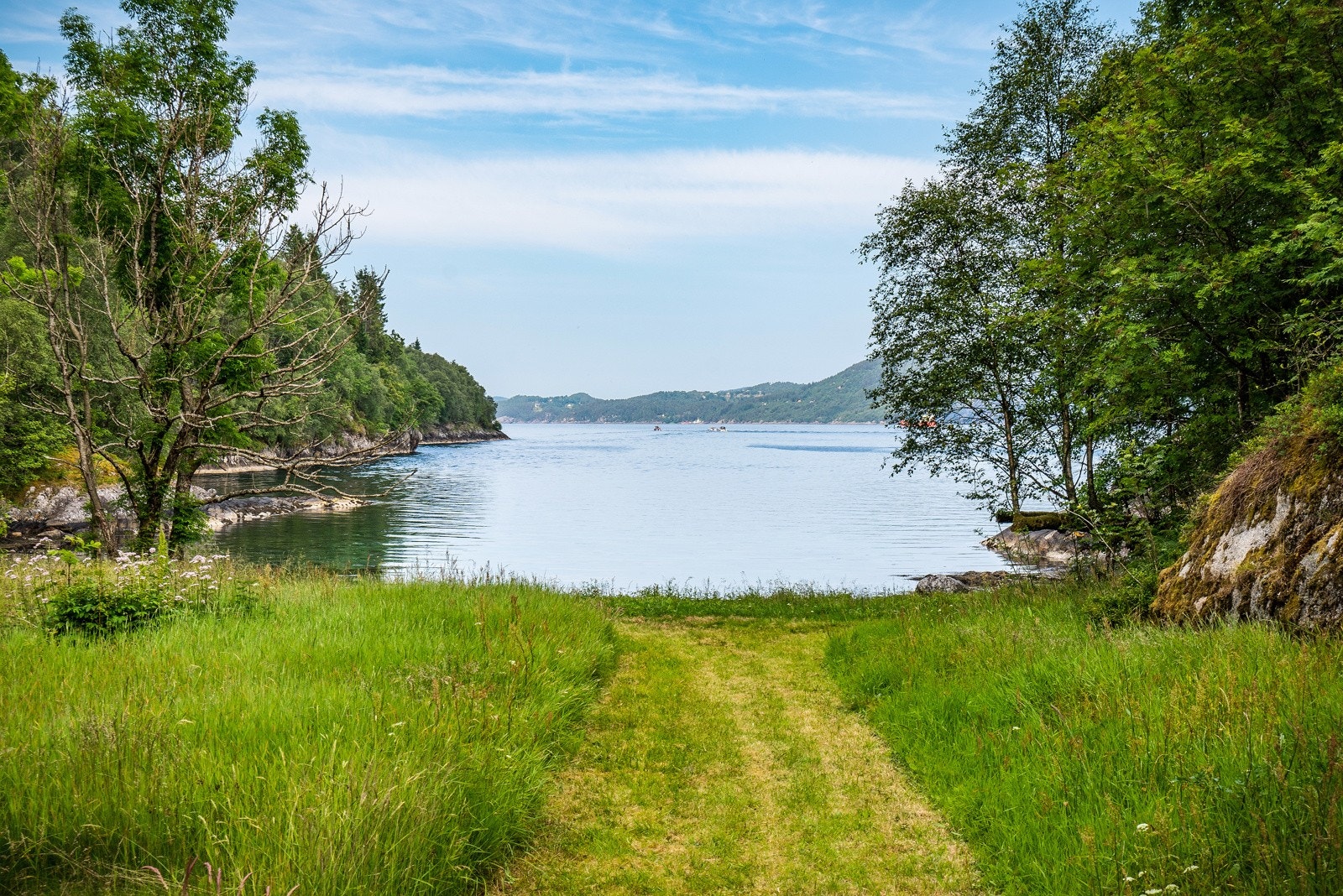 Badevik på nordsiden Galleribilde