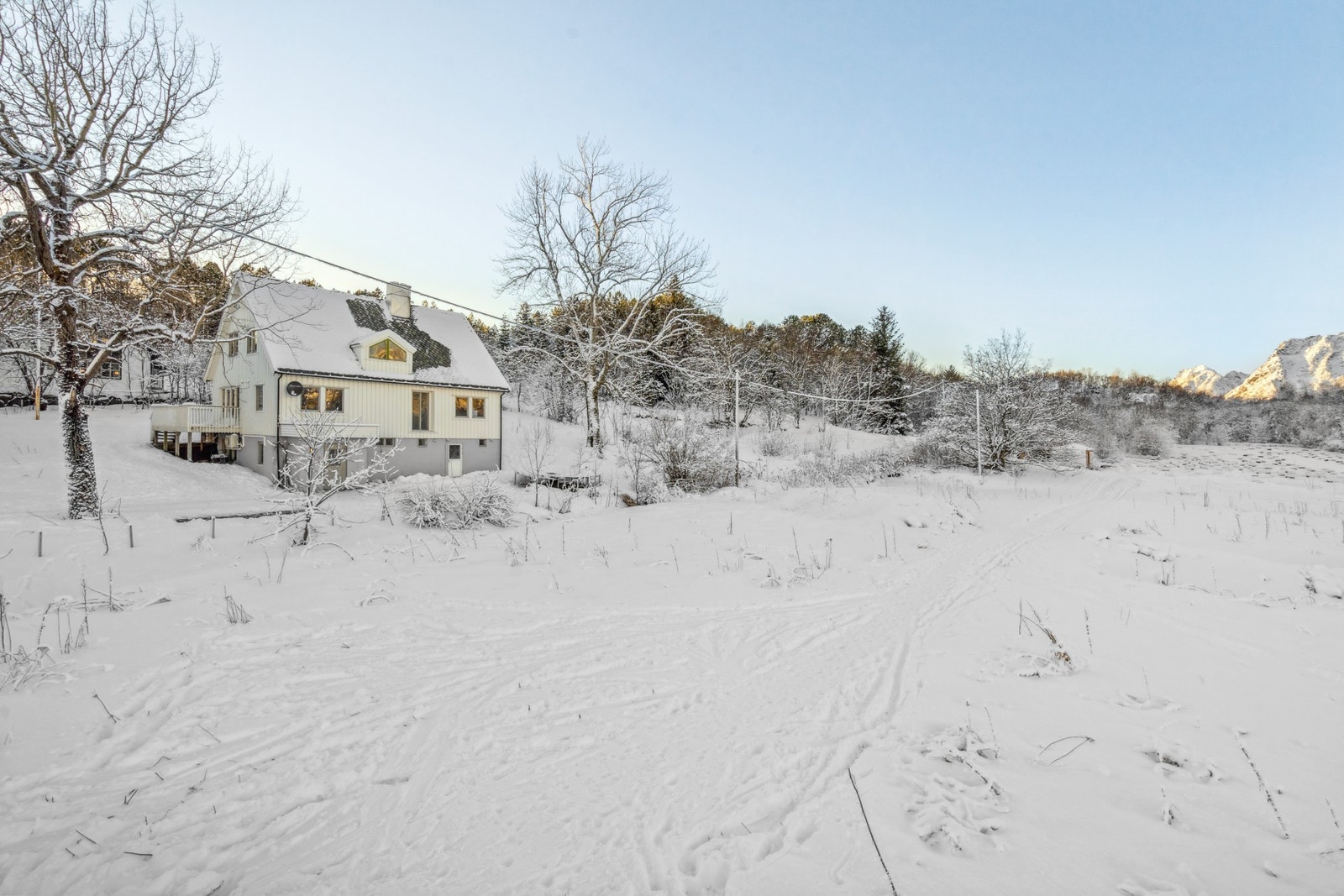 Områdebilde med huset Galleribilde