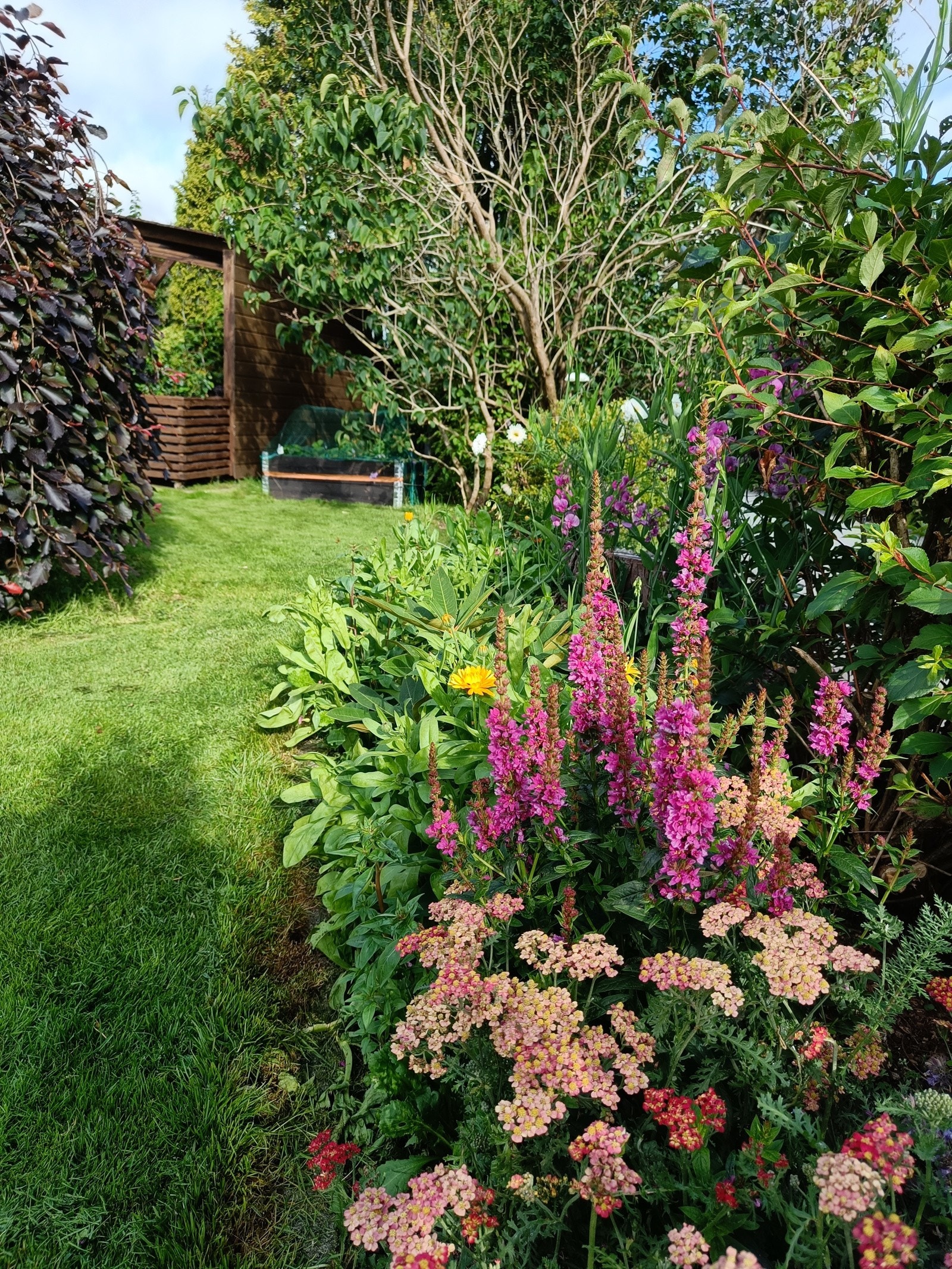 Boligen har flott beplantet og opparbeidet uteområde! Galleribilde