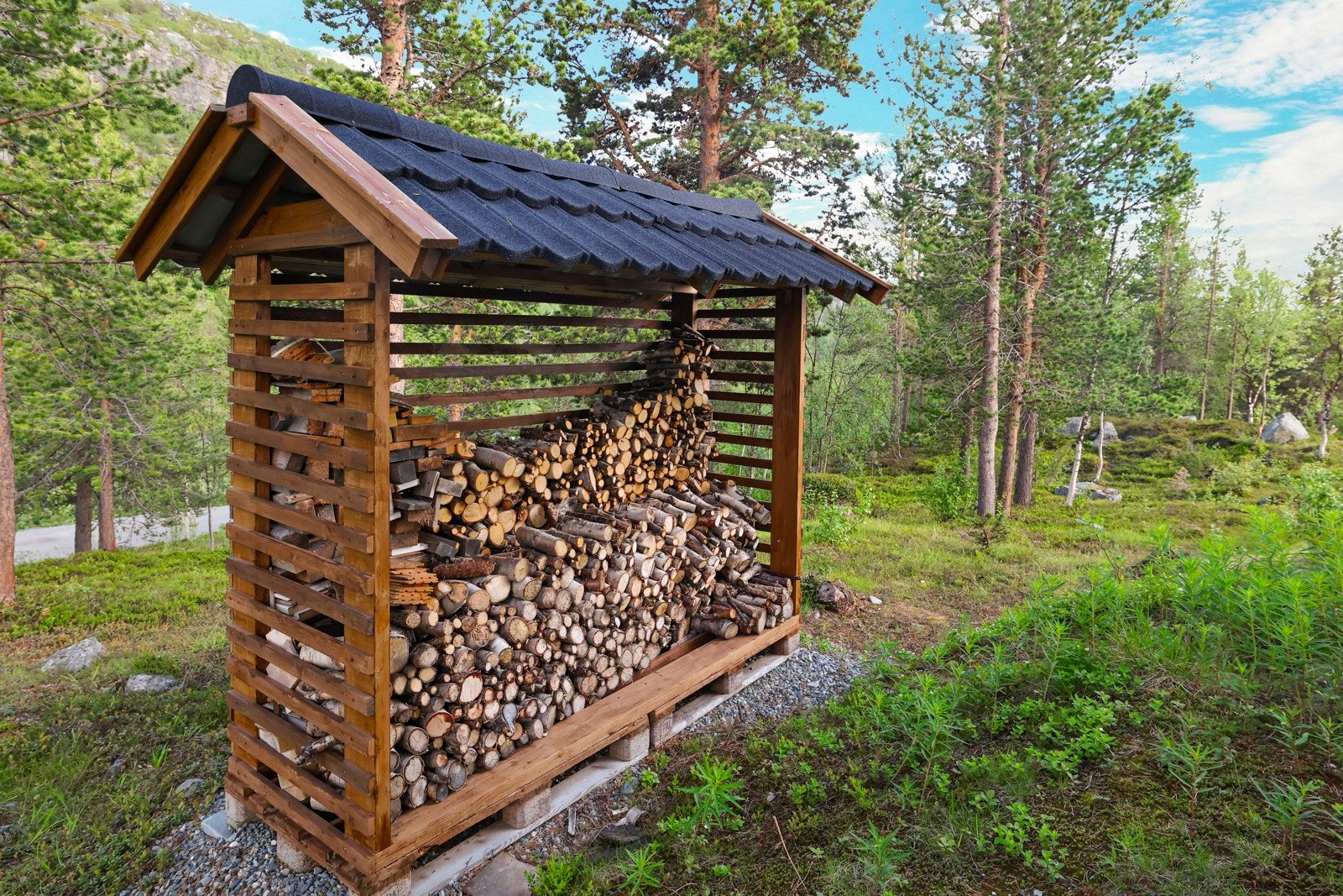 Område Galleribilde