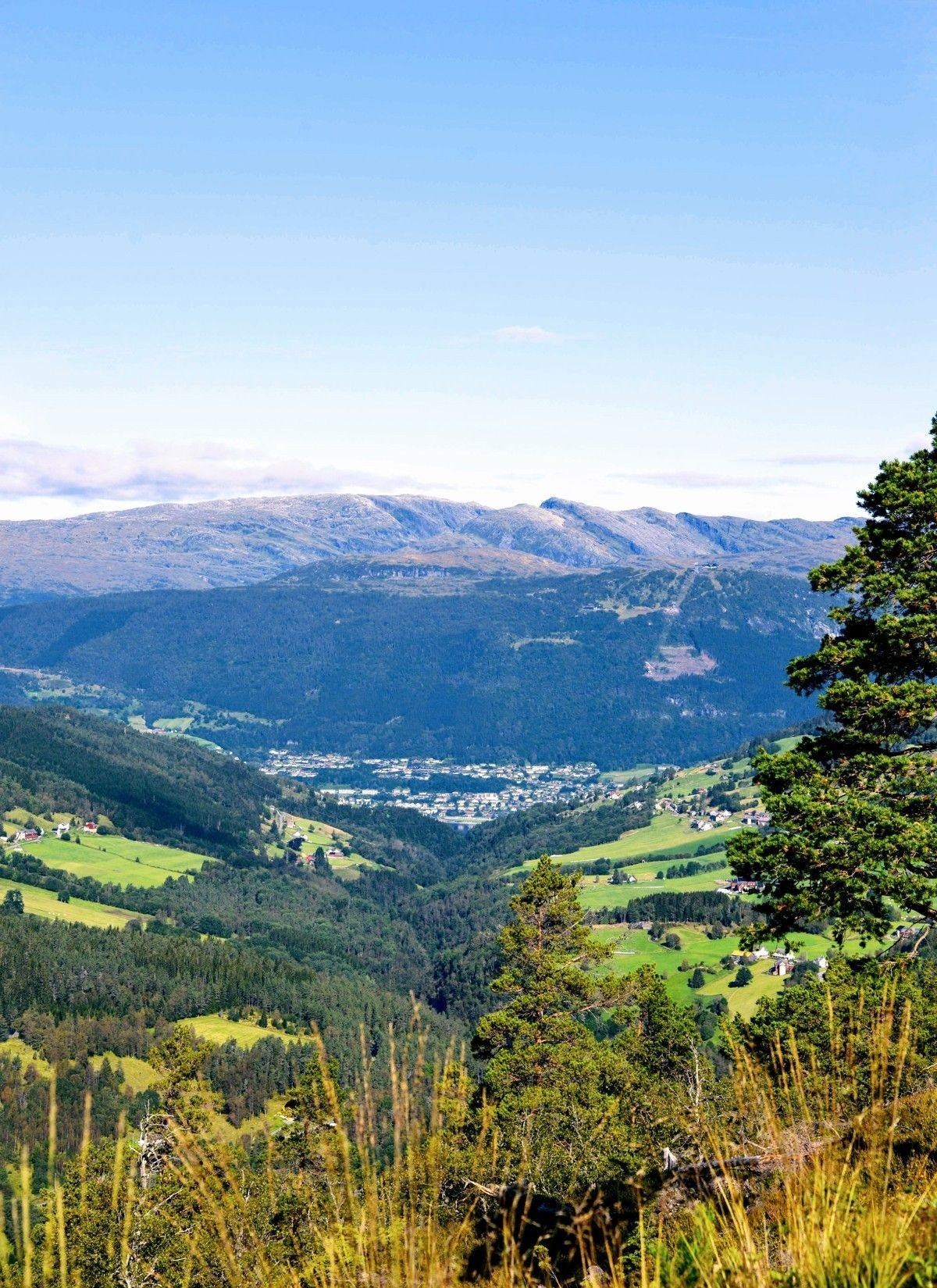 Herlig på fjellet Galleribilde