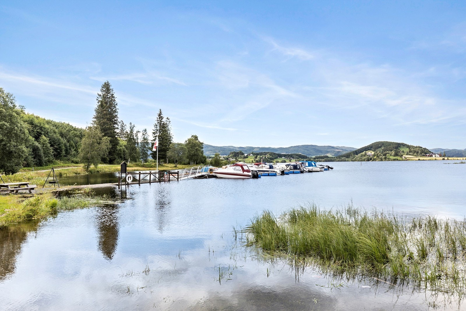 Nærområdet. Galleribilde