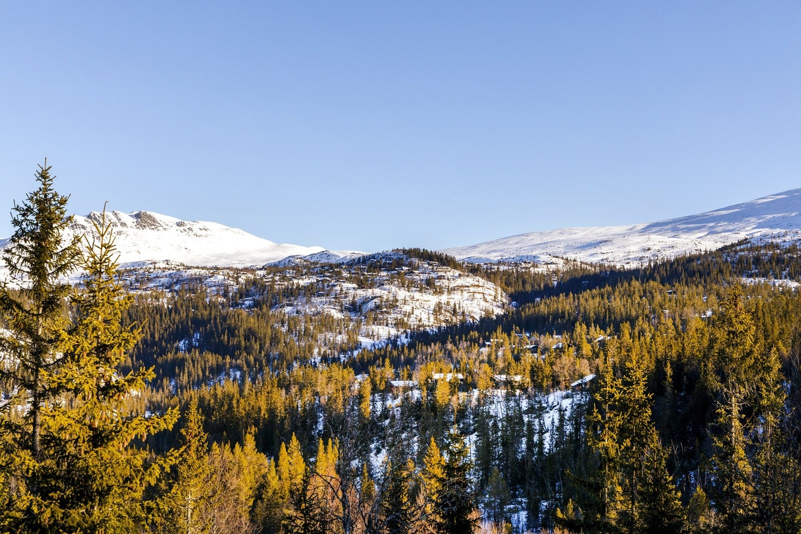 Utsikt til snaufjellet og Ranten Galleribilde