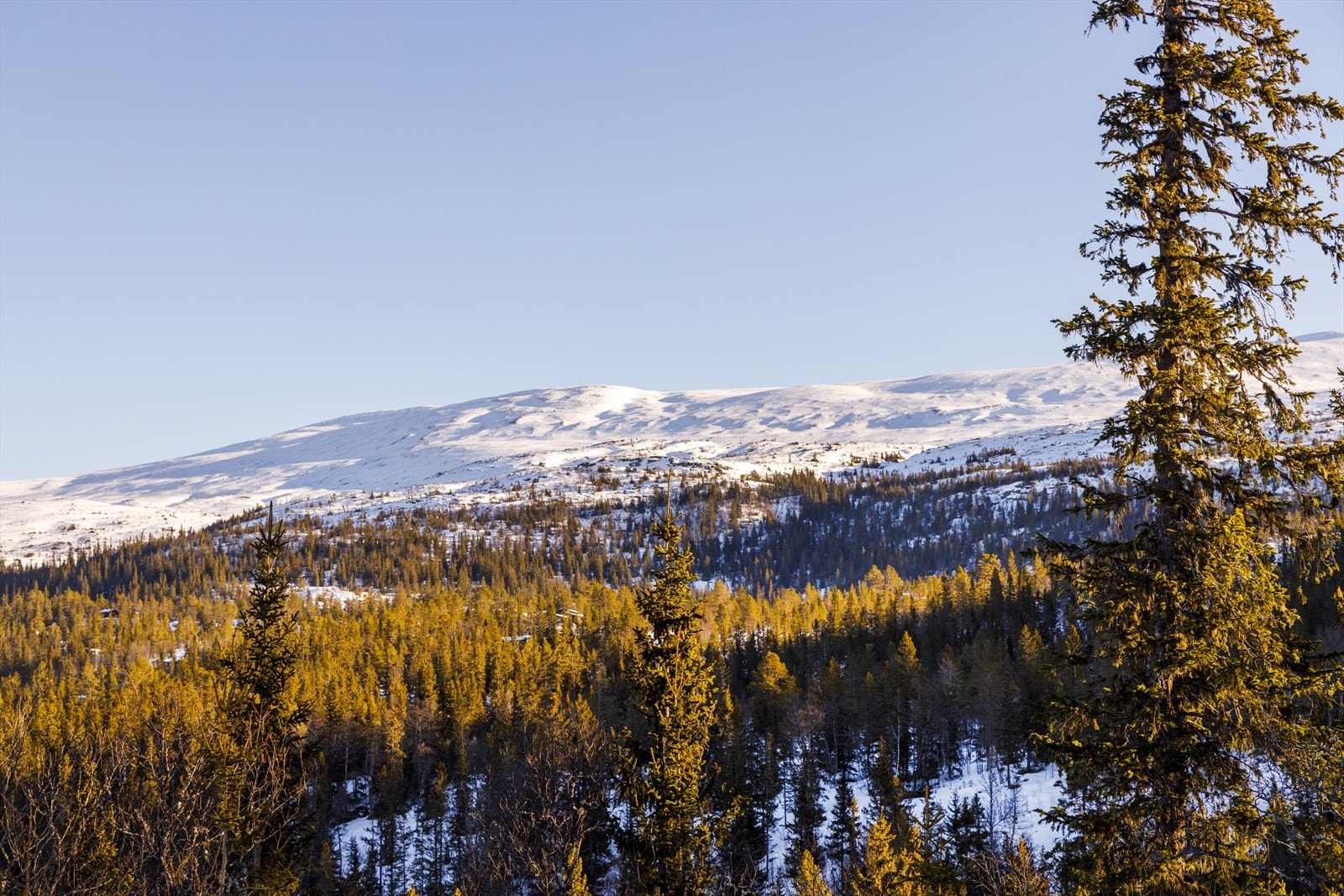 Tempelseter kan bli din nye hyttedestinasjon Galleribilde