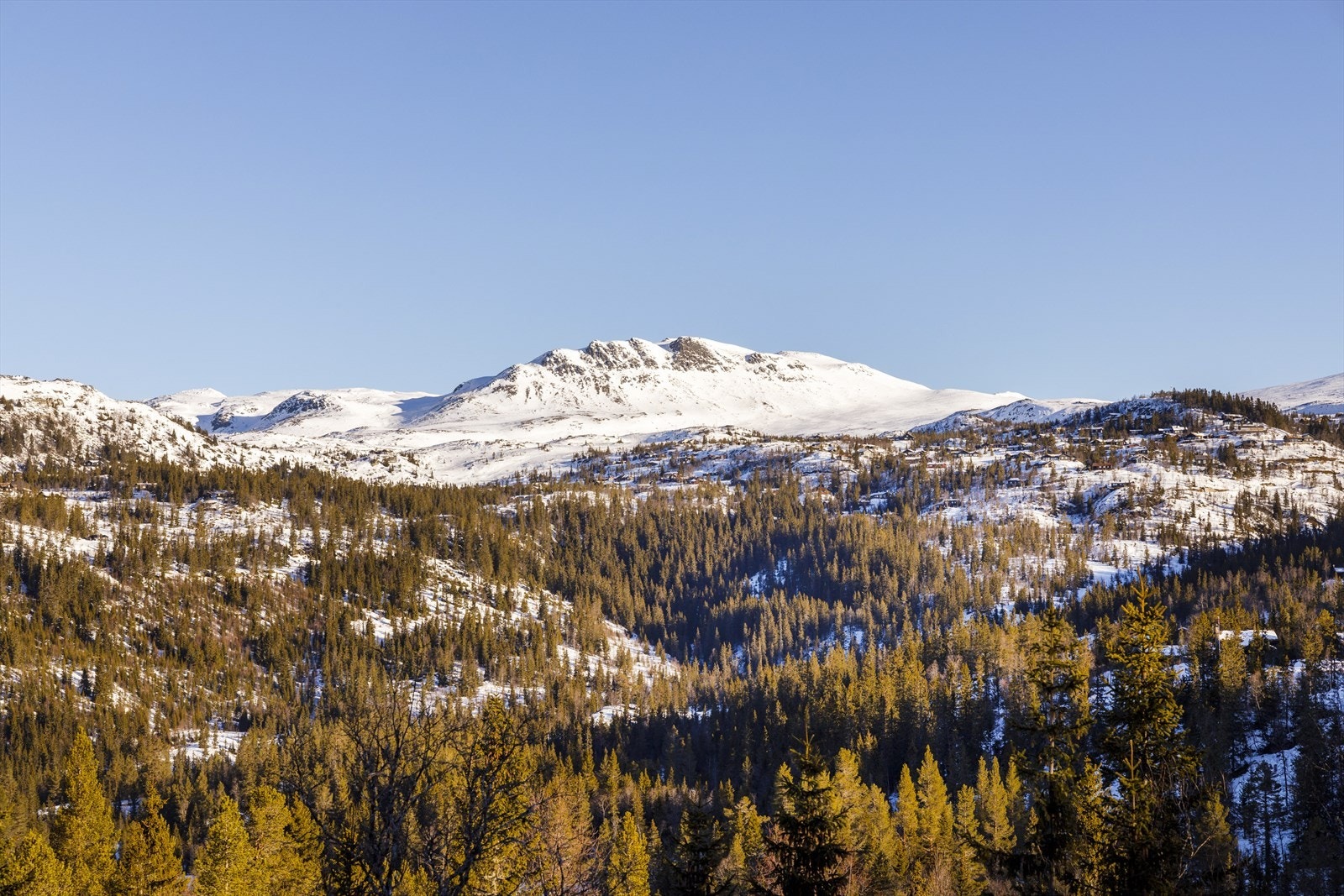 Velkommen til fjells! Galleribilde