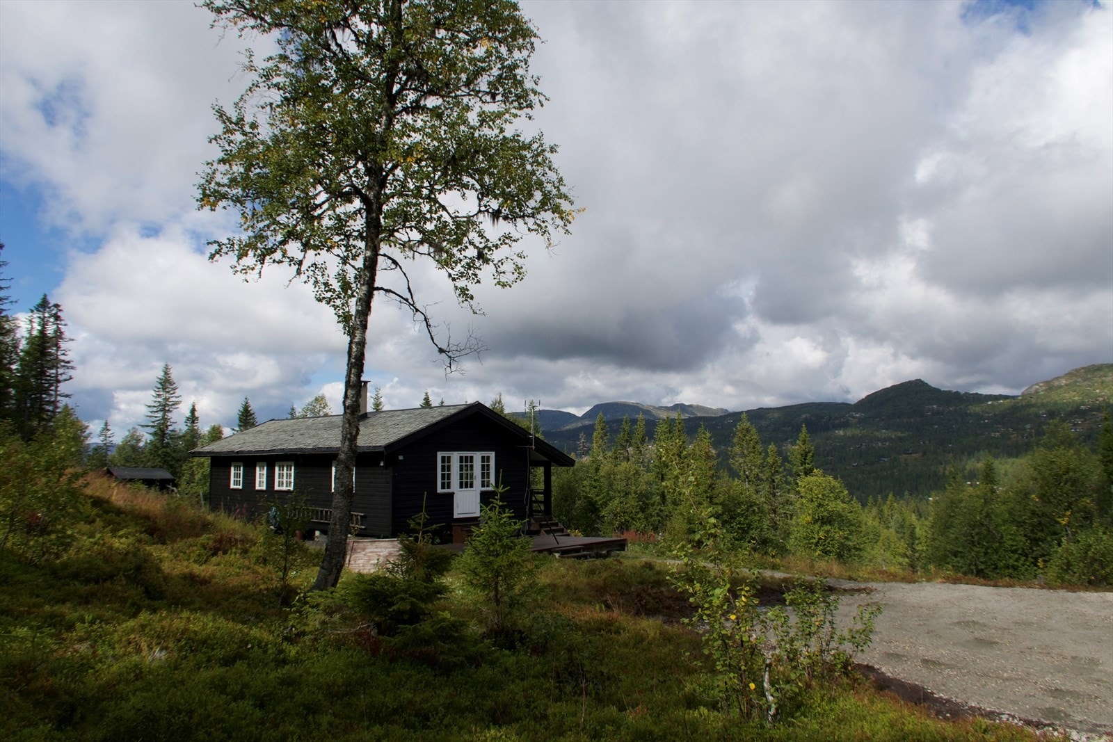 Helårs bilvei frem til hytta Galleribilde