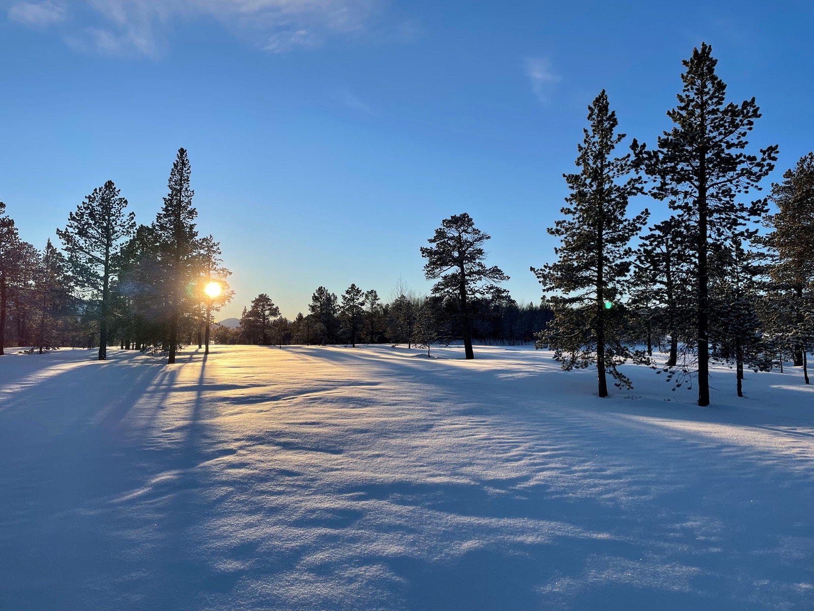 Bilder fra tomteområdet Galleribilde