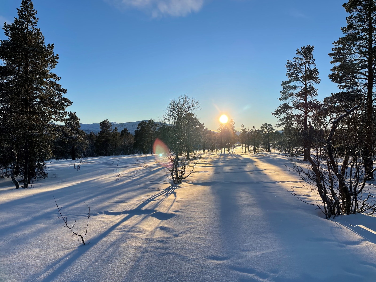 Bilder fra tomteområdet Galleribilde
