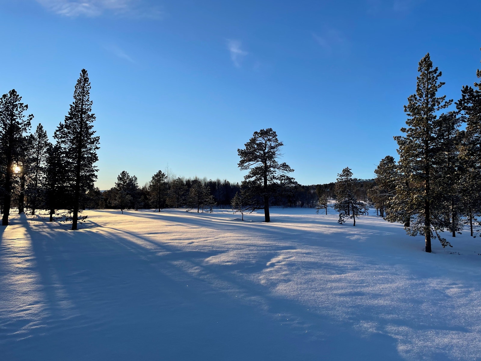 Bilder fra tomteområdet Galleribilde