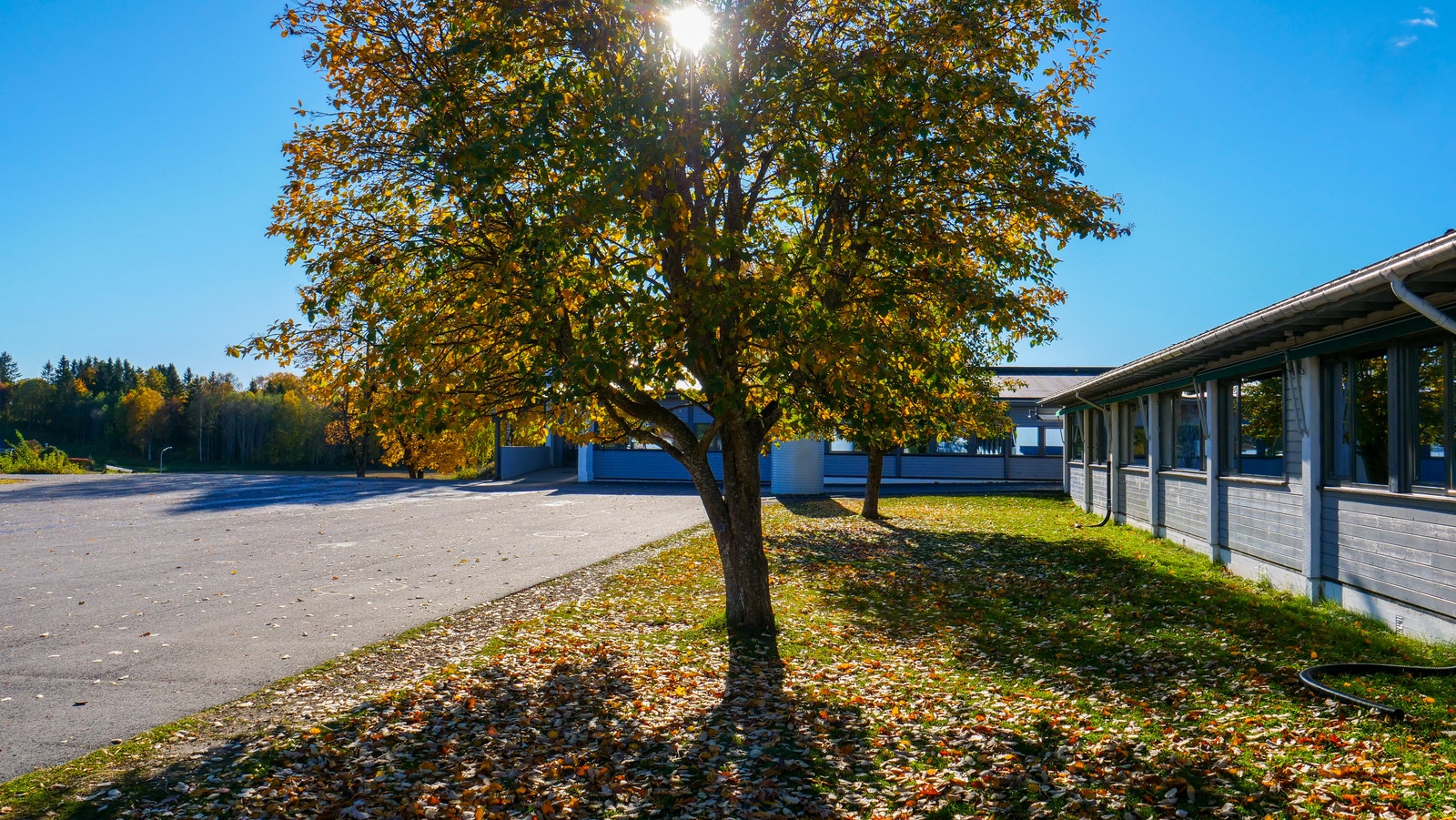 Ingeberg skole Galleribilde