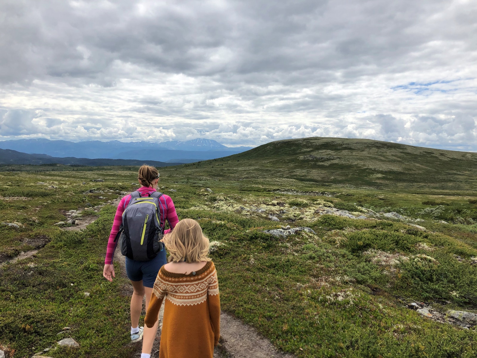 Turområde Numedalshovda Galleribilde