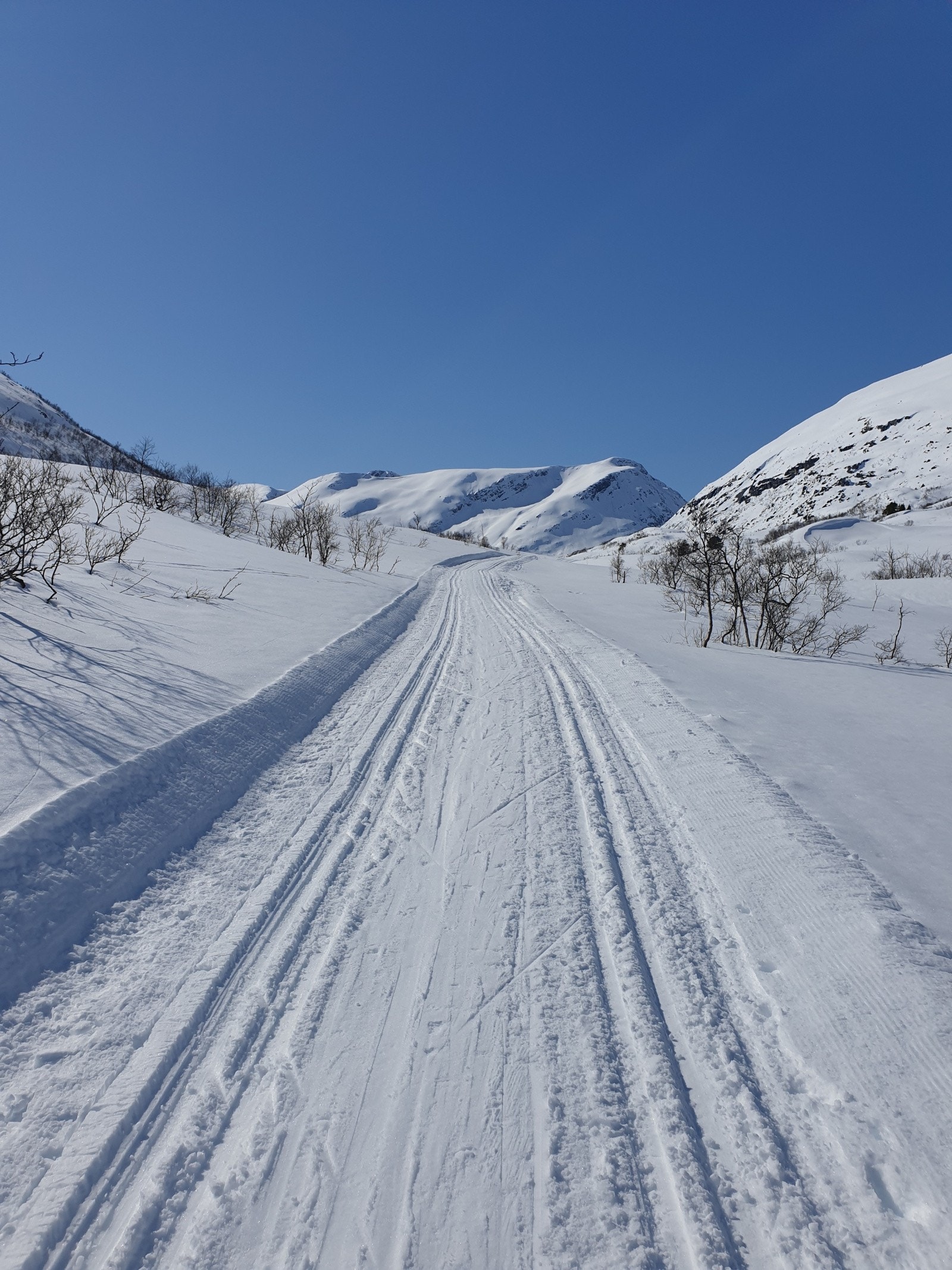 Langrennsløypene er fantastiske i området. Her er kilometervis med oppkjørte løyper i svært familievennlig og idyllisk terreng. Galleribilde
