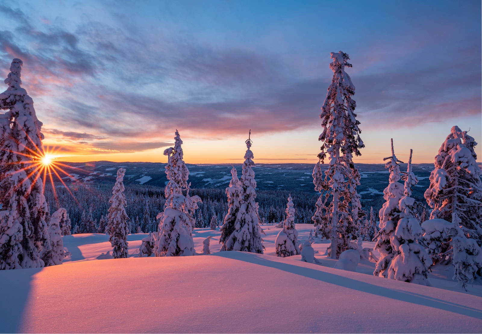 Tomt 59 - Endetomt i blindvei med fantastisk utsikt. Galleribilde