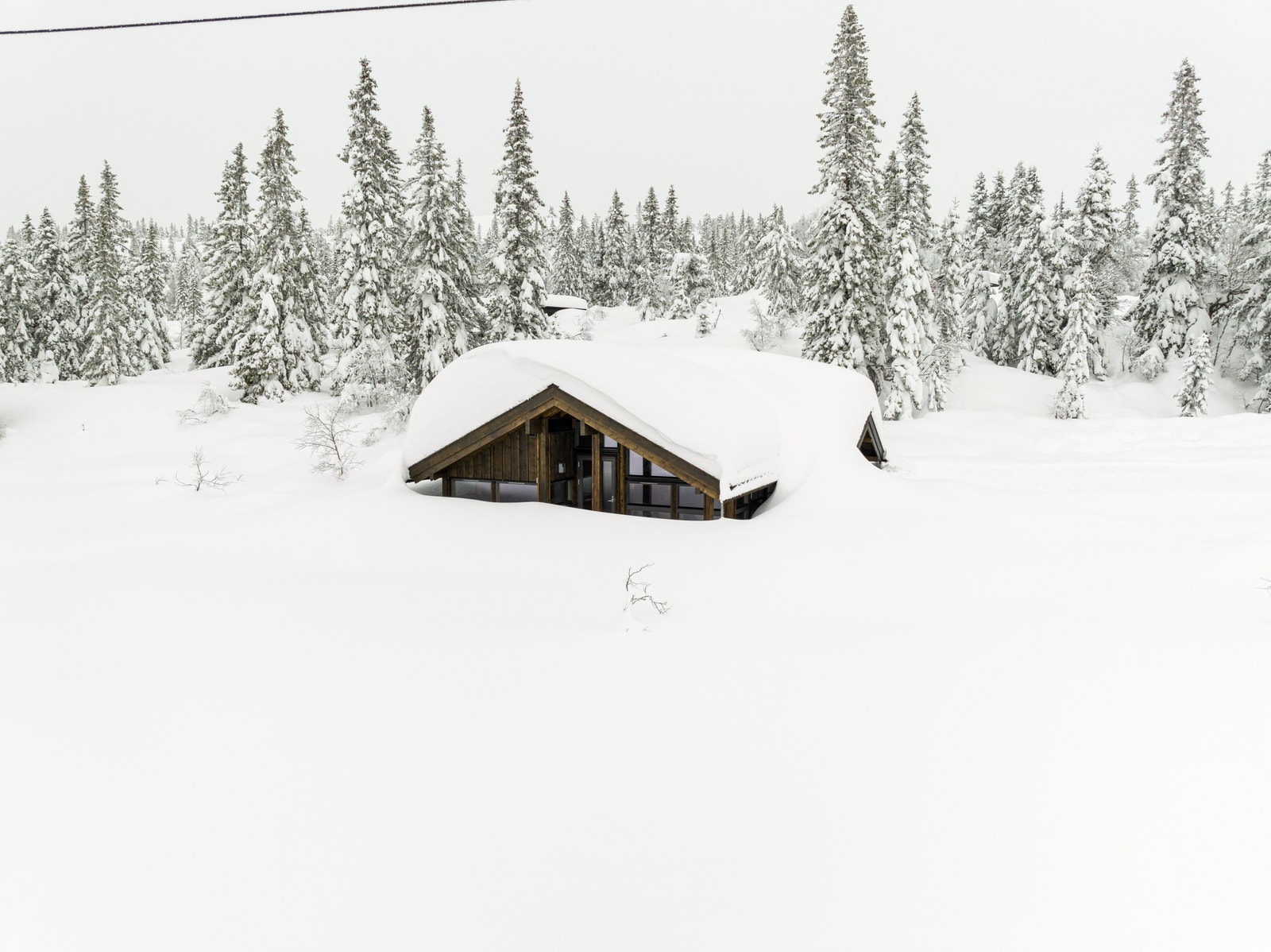 Bilde pr. 30.01.23 Galleribilde