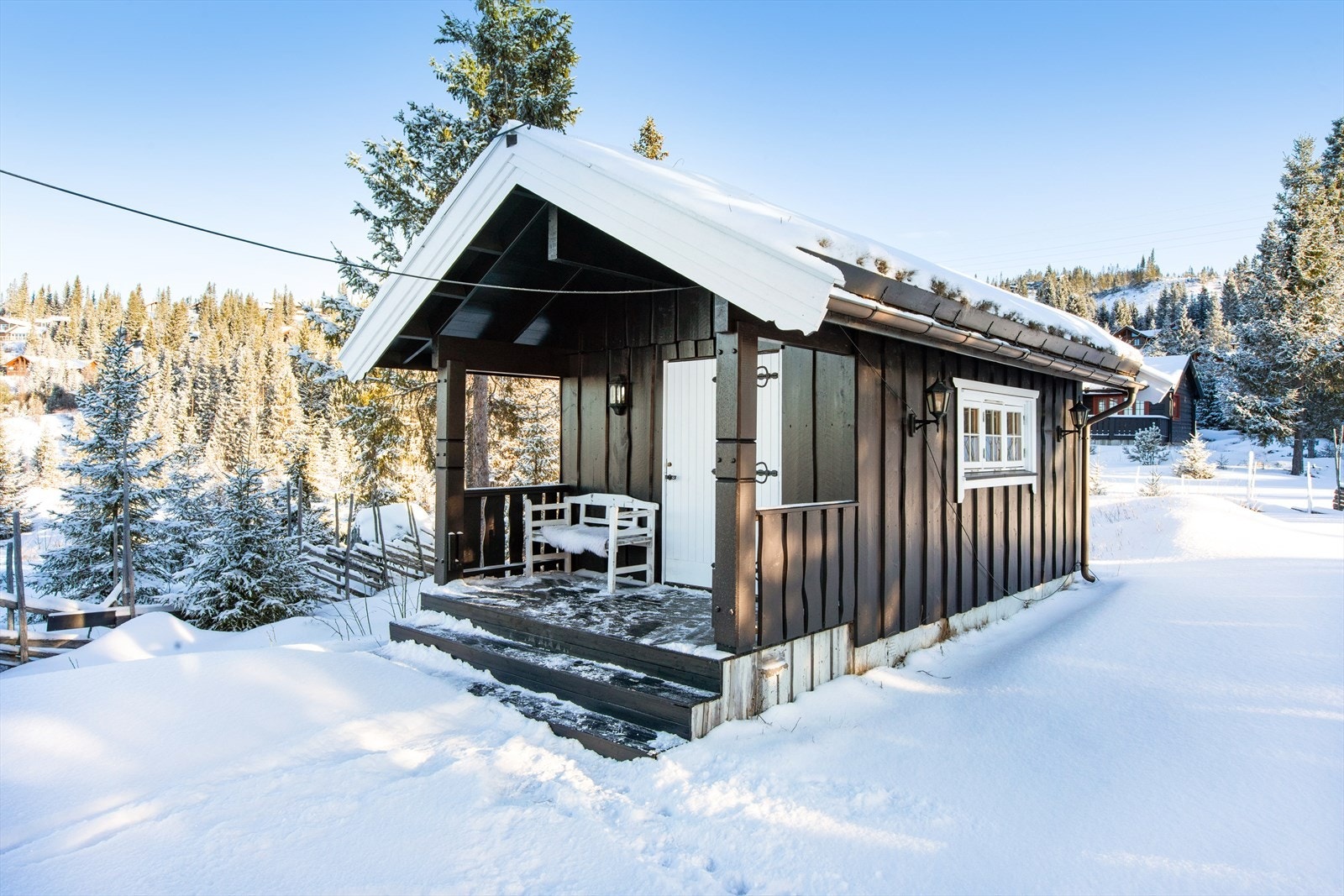 Praktisk uthus til lager av ski, akebrett utemøbler ol Galleribilde