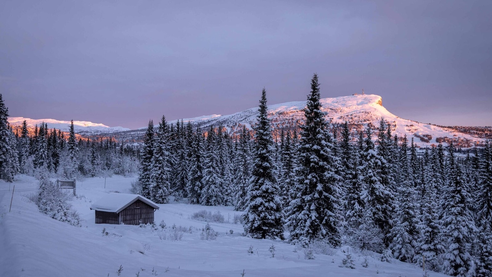 Foto fra tomteområdet mot Skeikampen Galleribilde